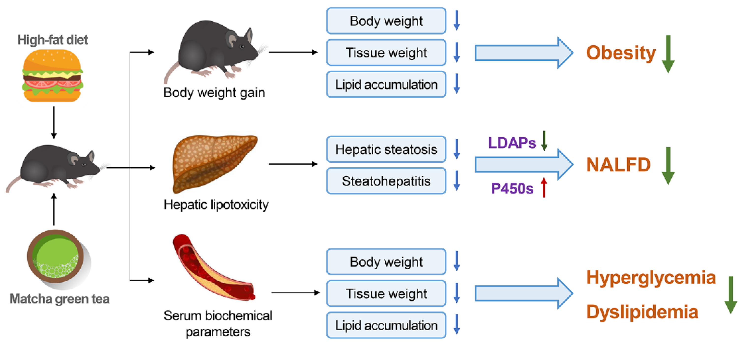 Nutrients 13 01950 g005