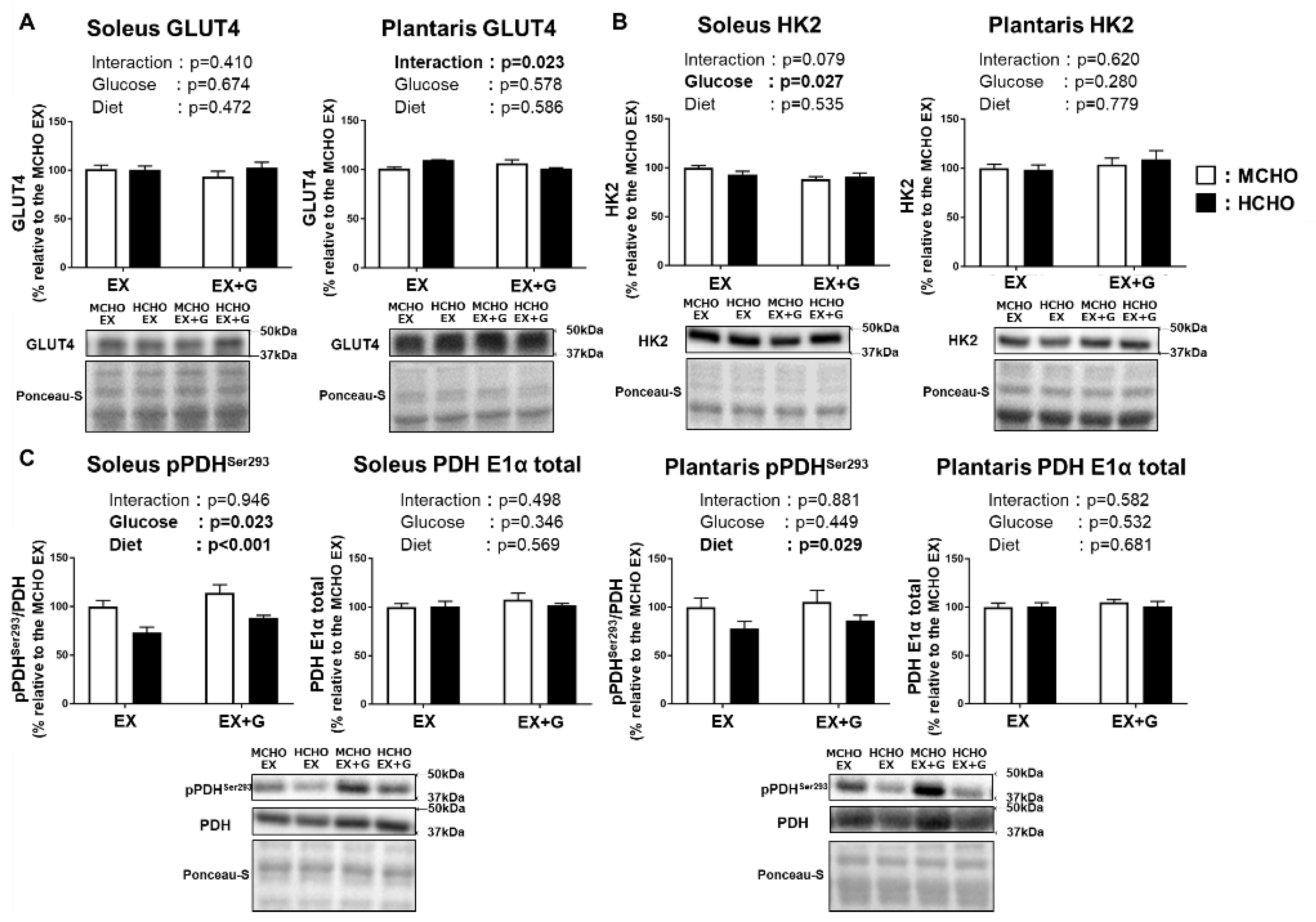Nutrients 13 02140 g005 Nutrients 13 02140 g005