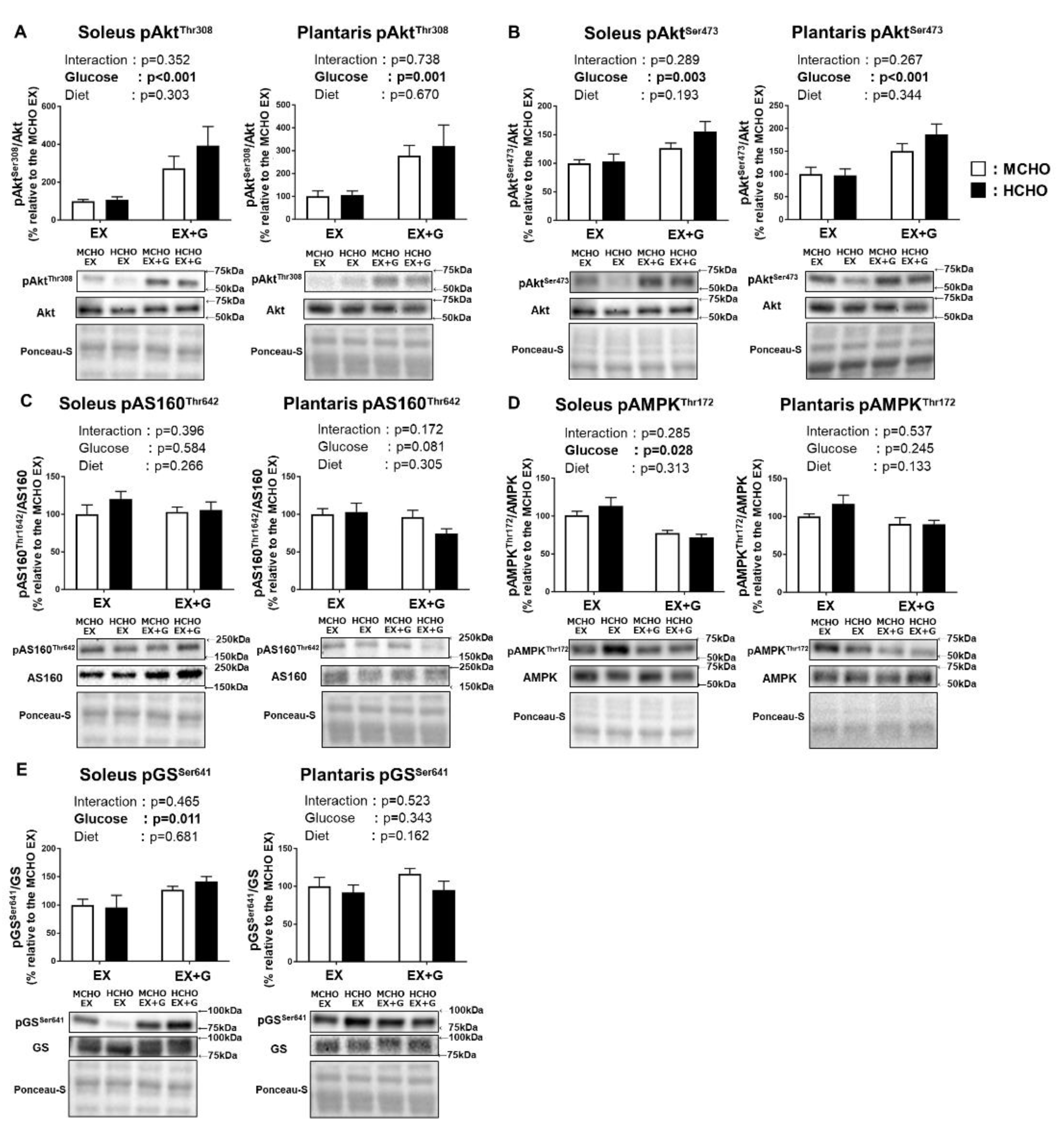 Nutrients 13 02140 g006 Nutrients 13 02140 g006
