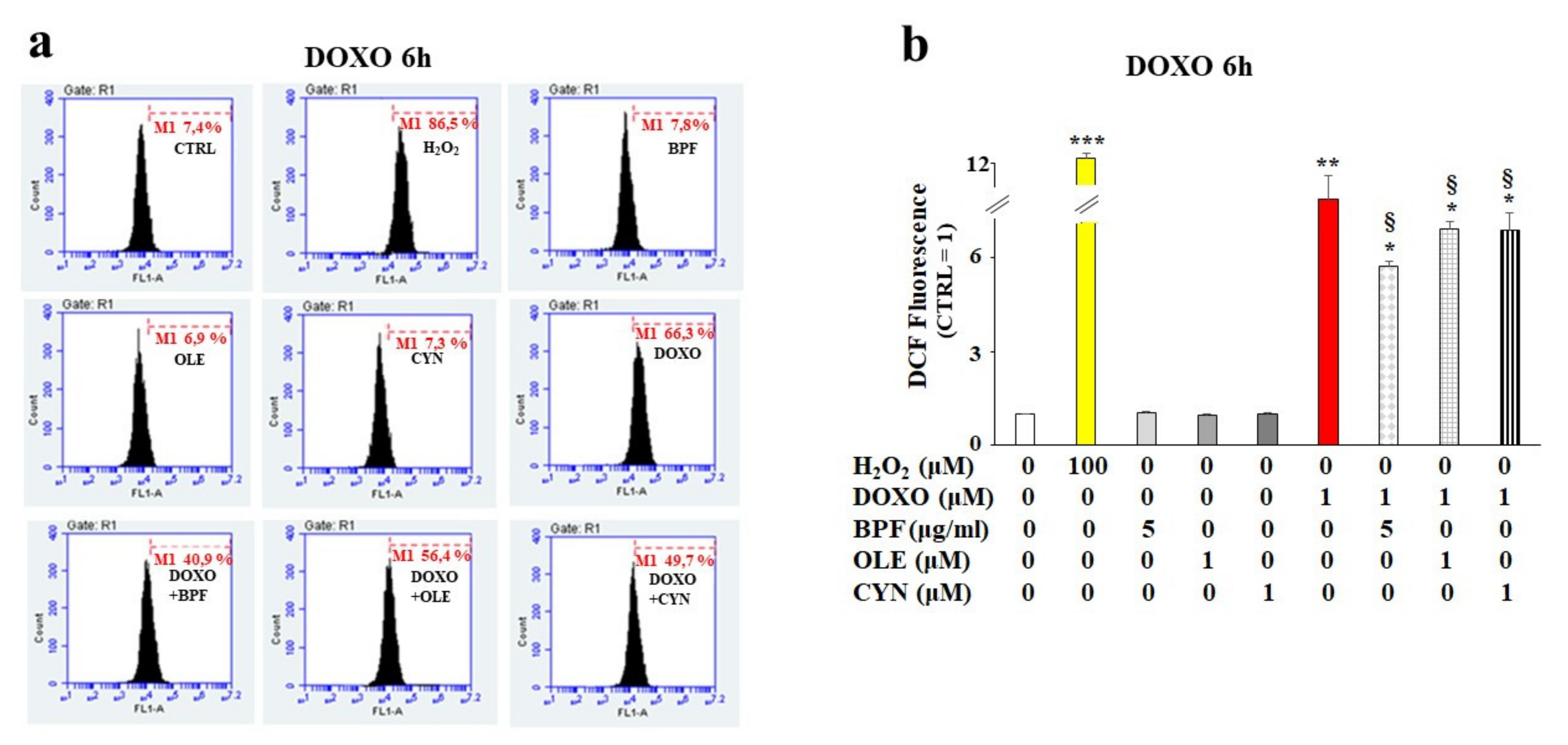 Nutrients 13 02158 g002