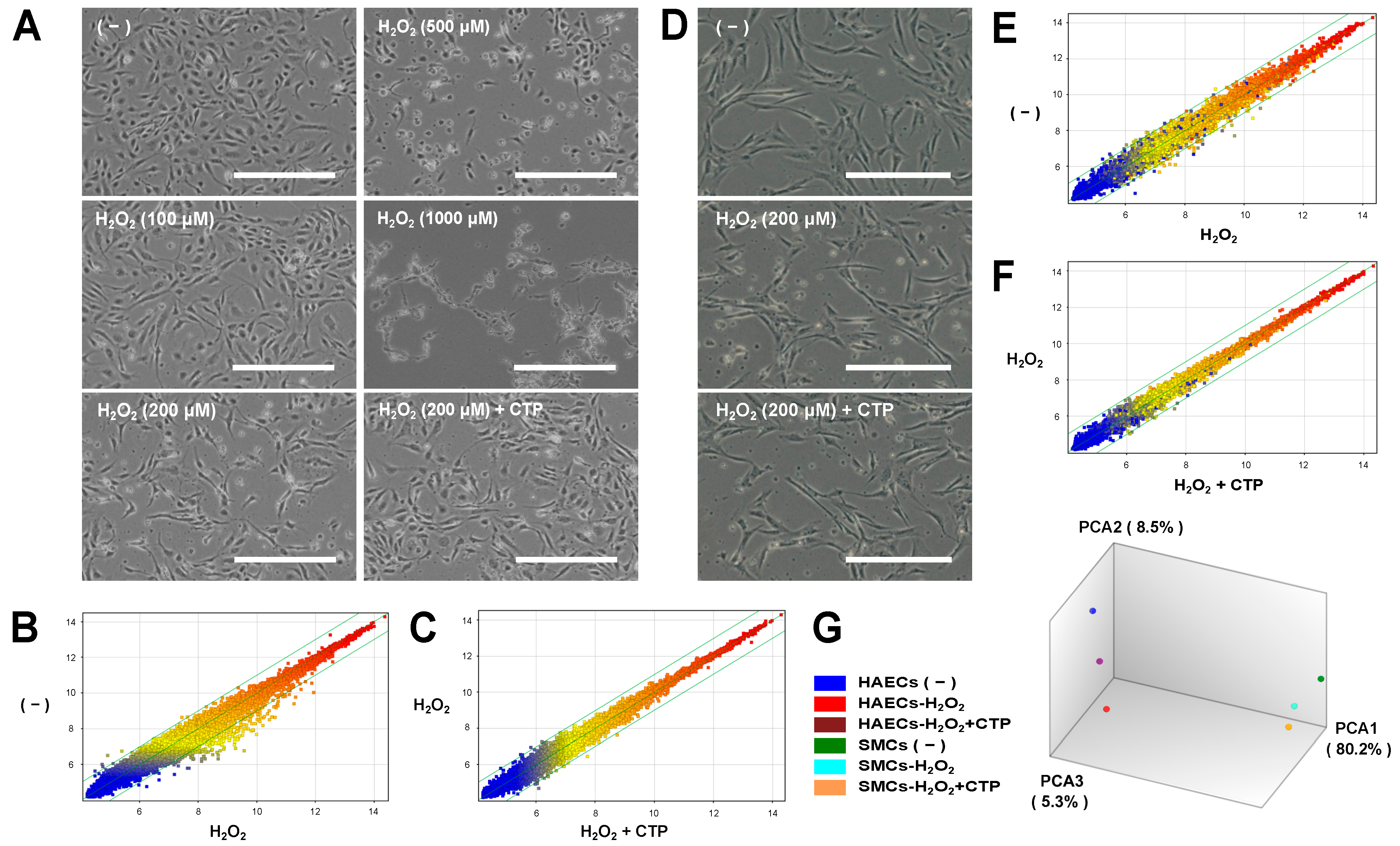 Nutrients 13 02226 g001