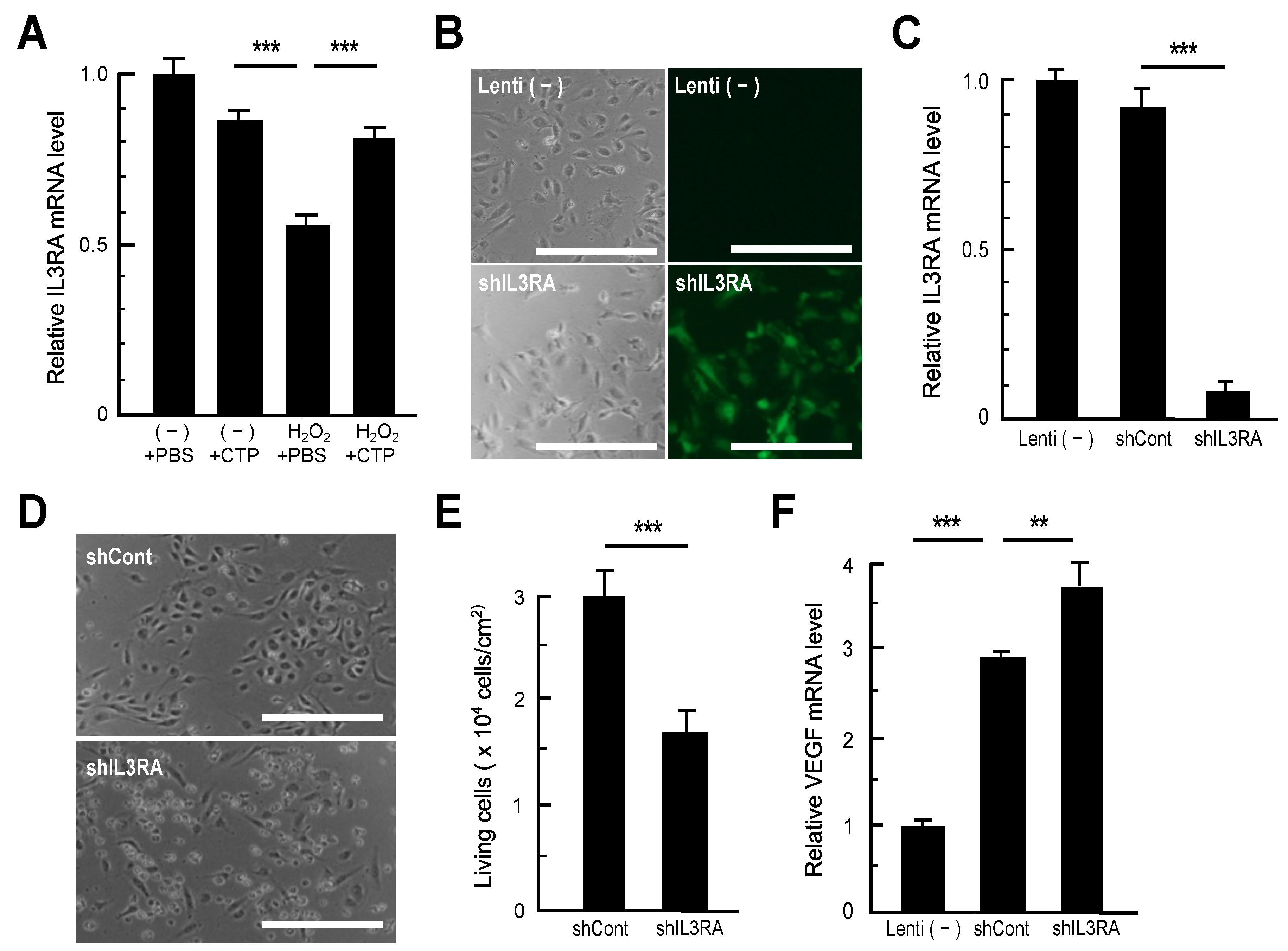 Nutrients 13 02226 g002