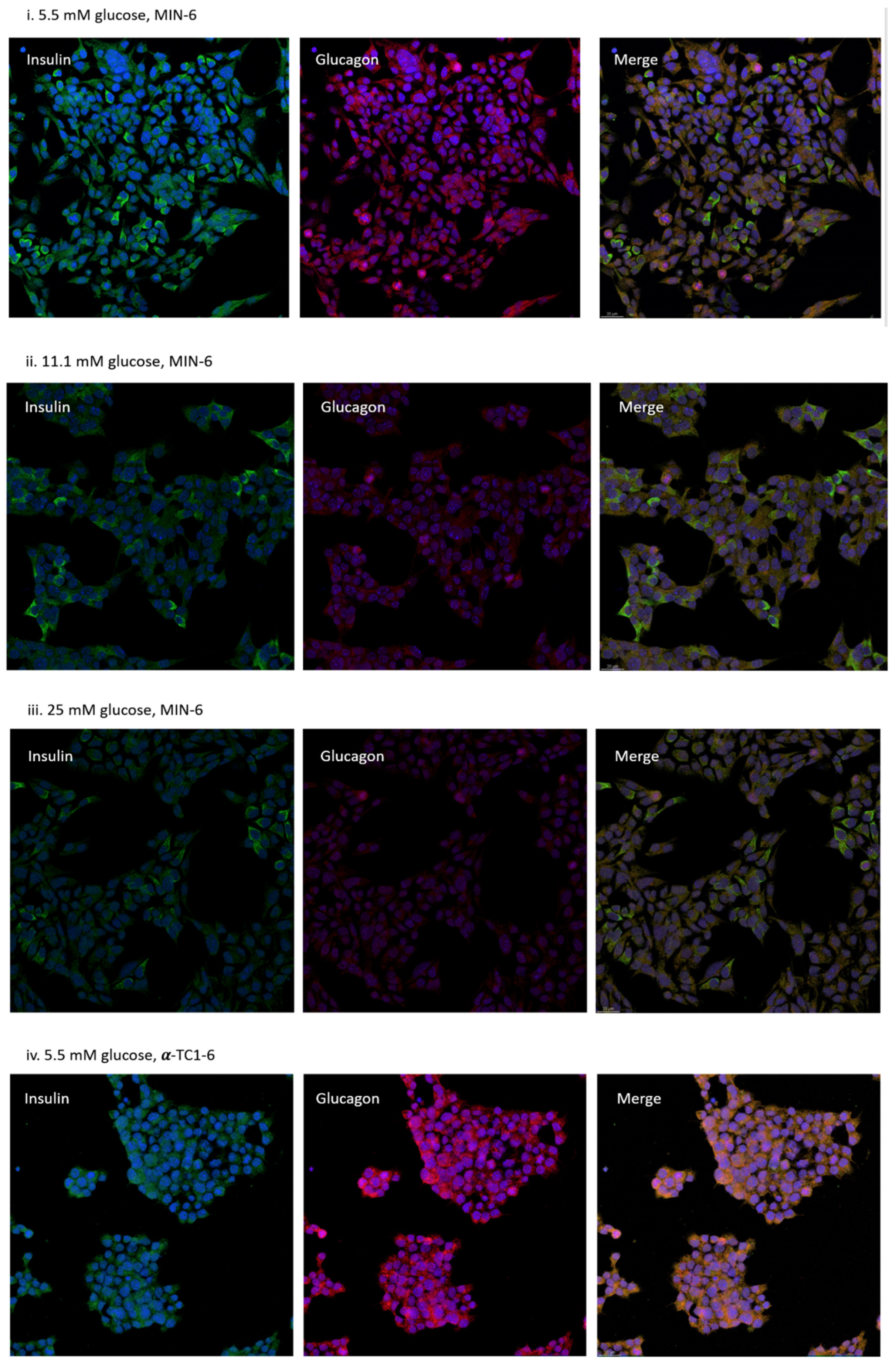 Nutrients 13 02281 g003a Nutrients 13 02281 g003a