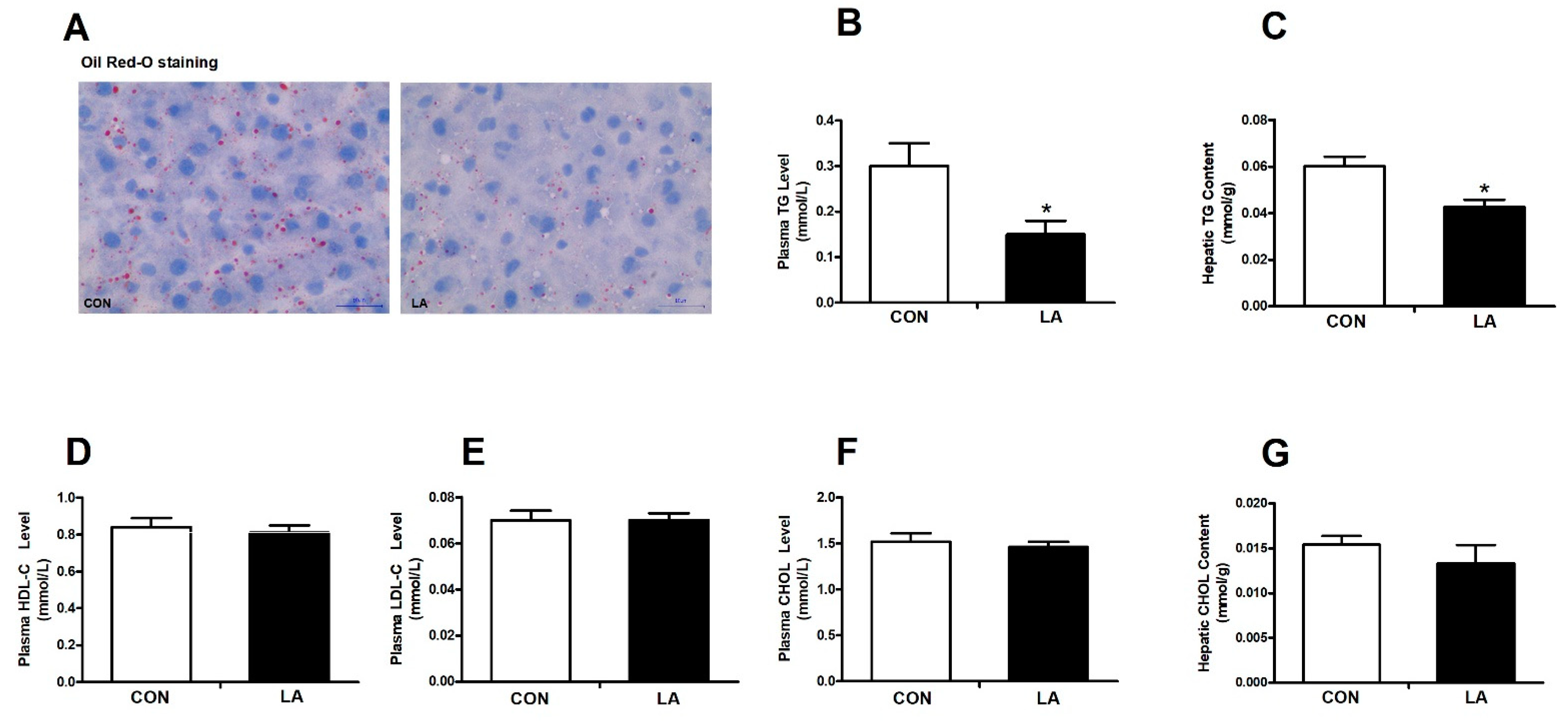 Nutrients 13 02331 g001