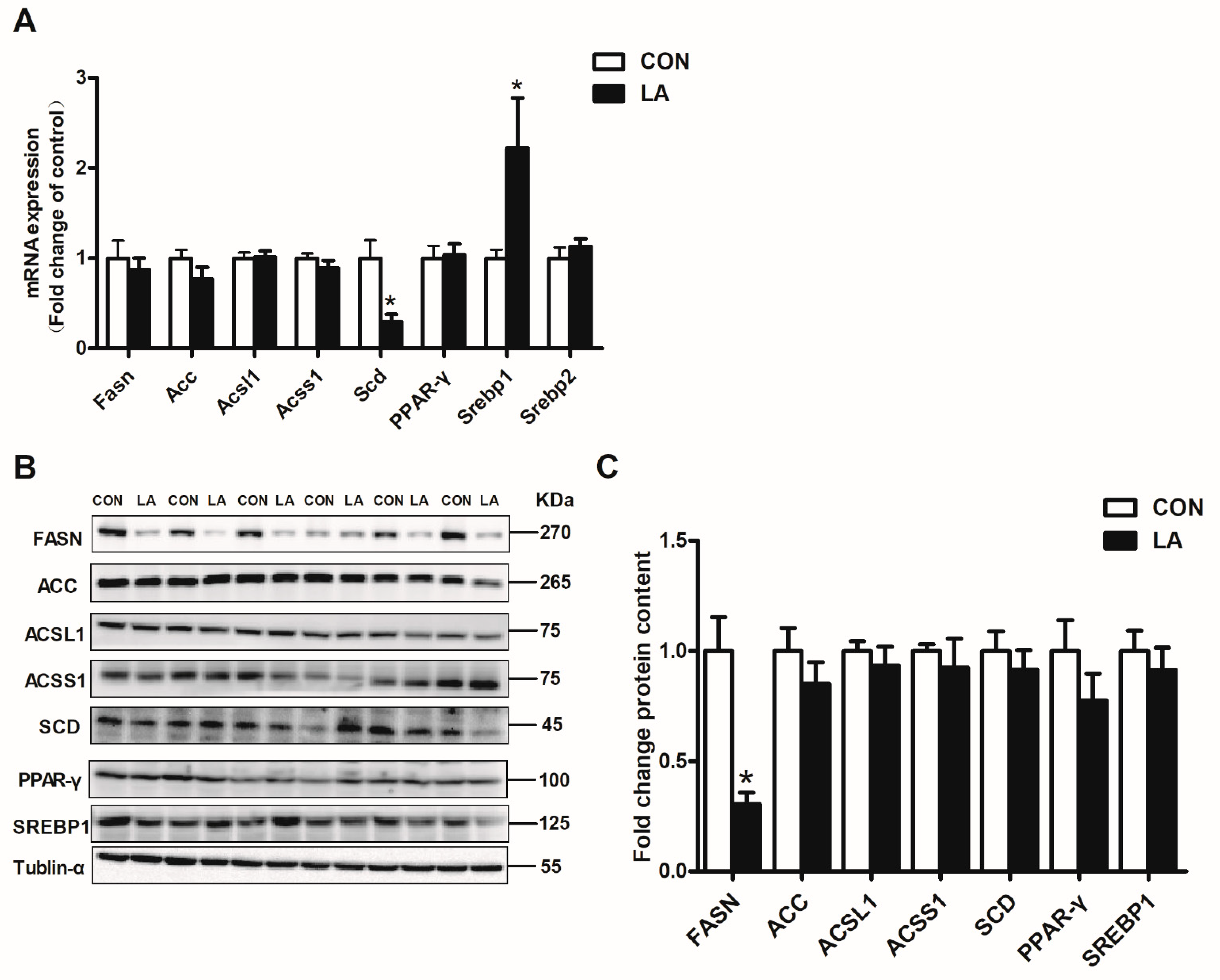Nutrients 13 02331 g002