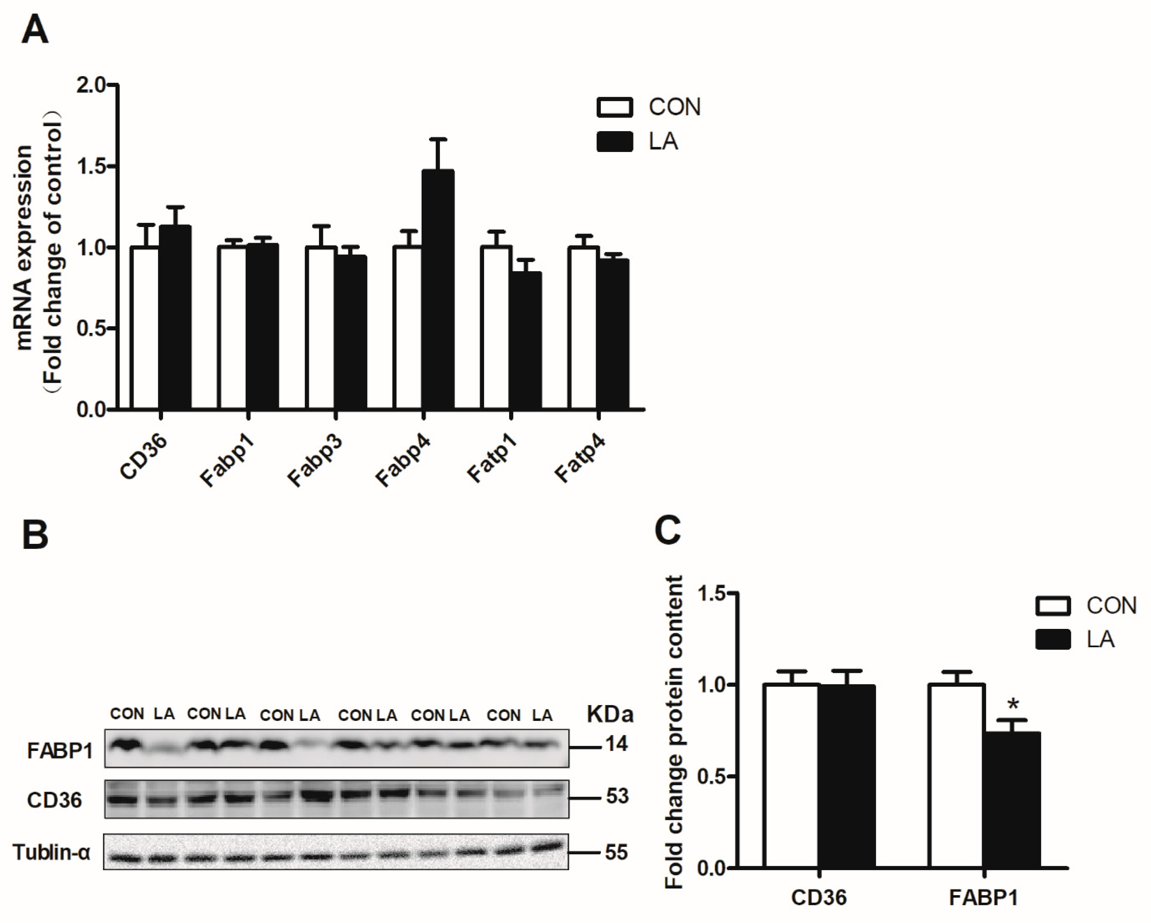 Nutrients 13 02331 g004