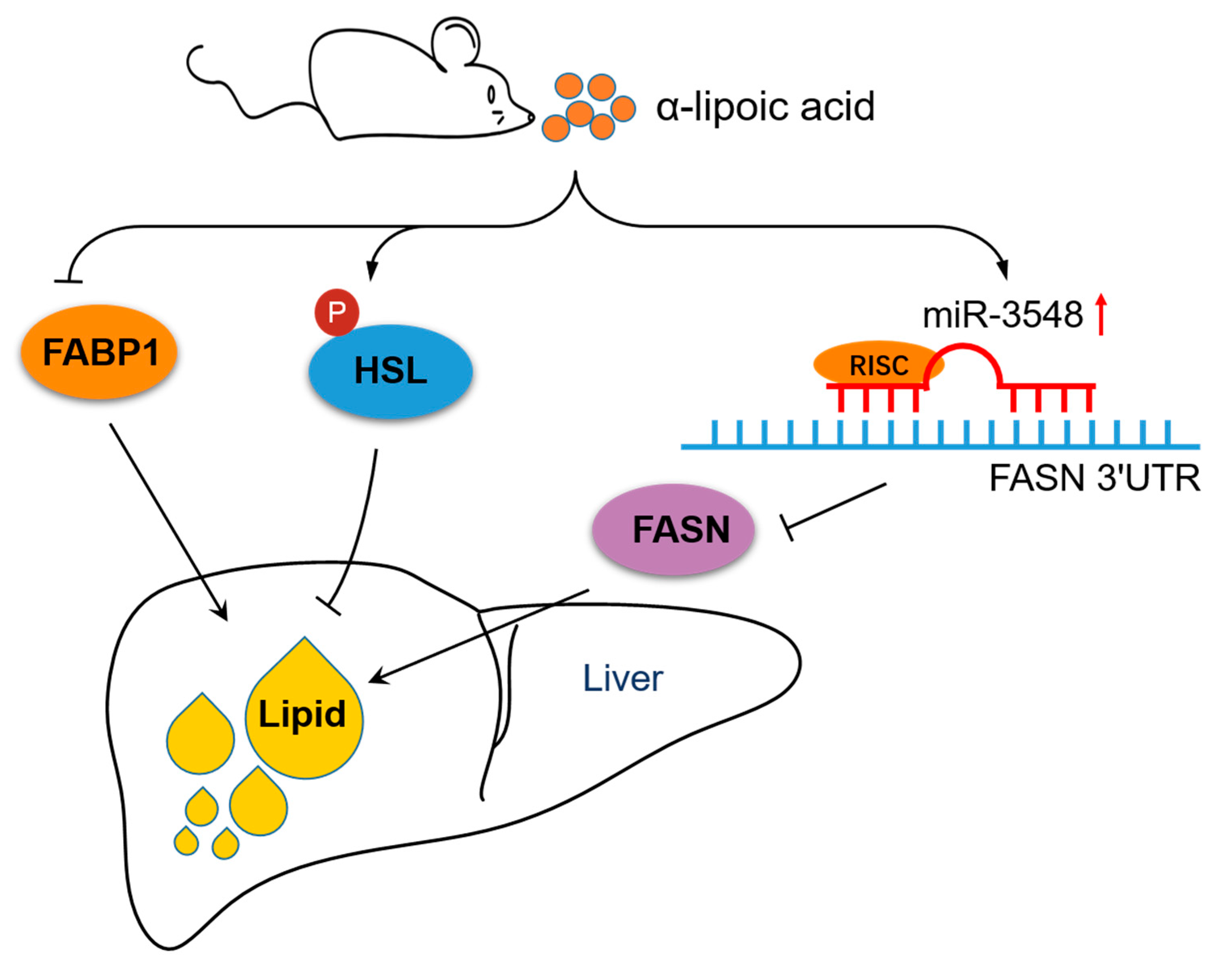 Nutrients 13 02331 g006
