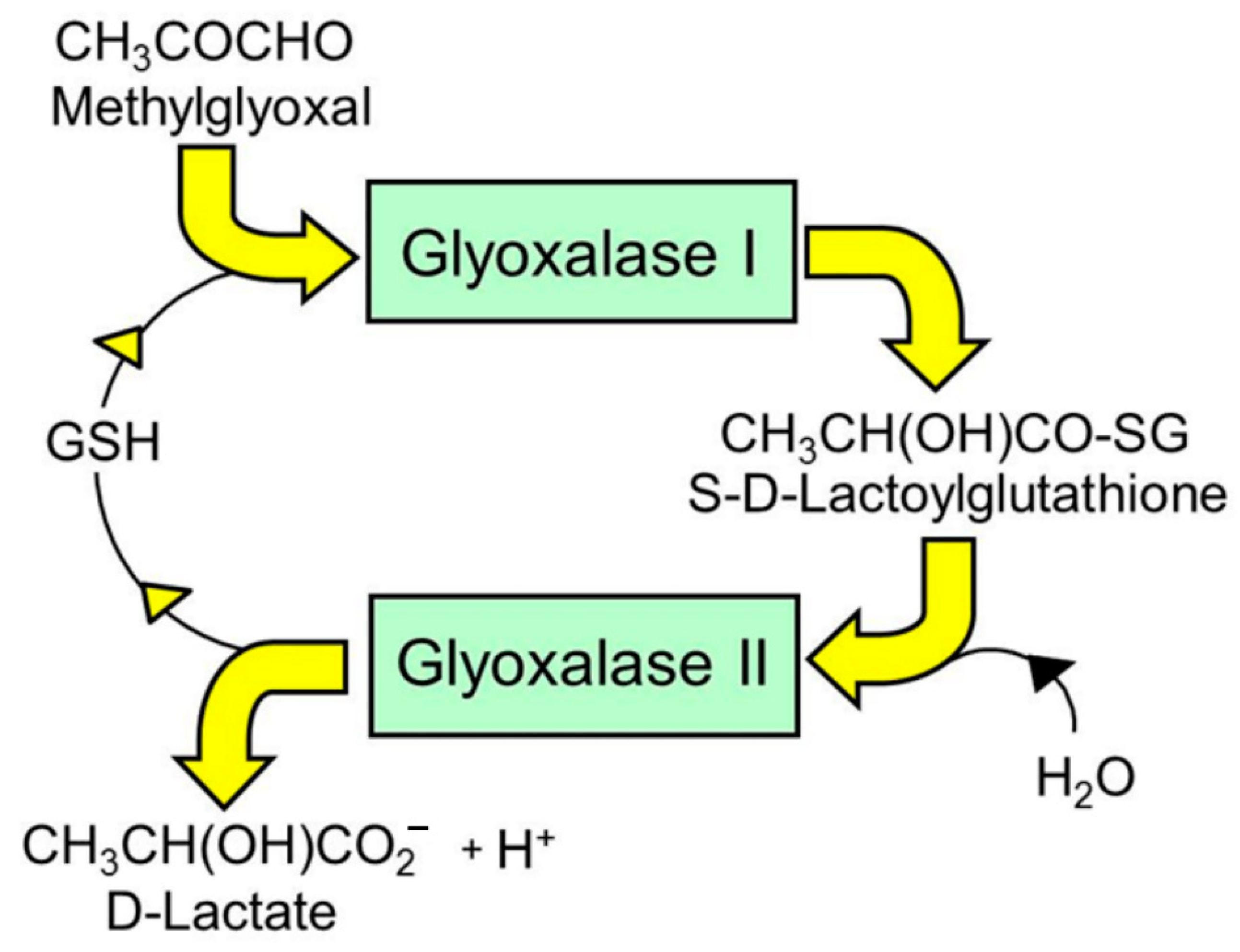 Nutrients 13 02374 g001