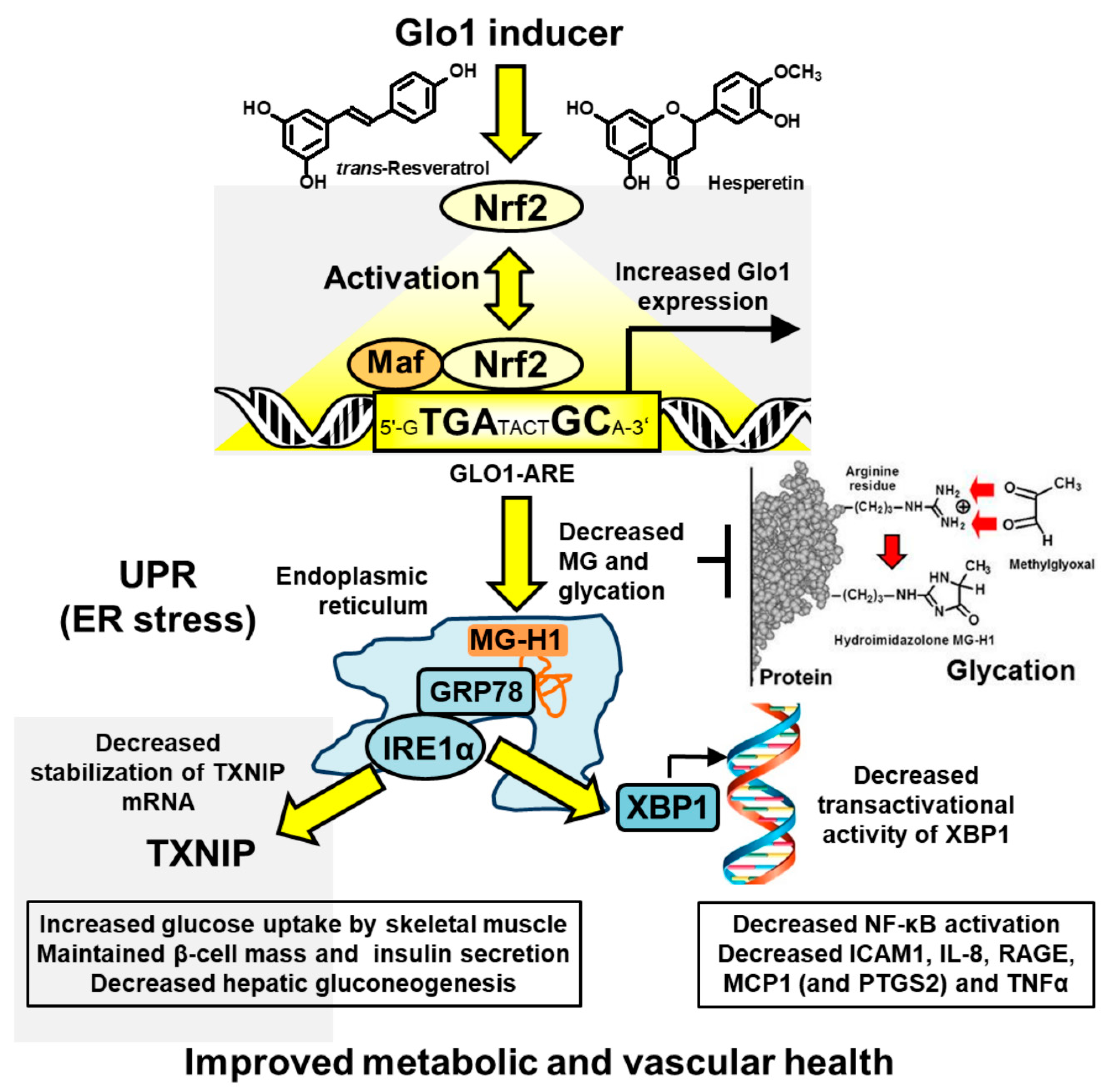 Nutrients 13 02374 g003