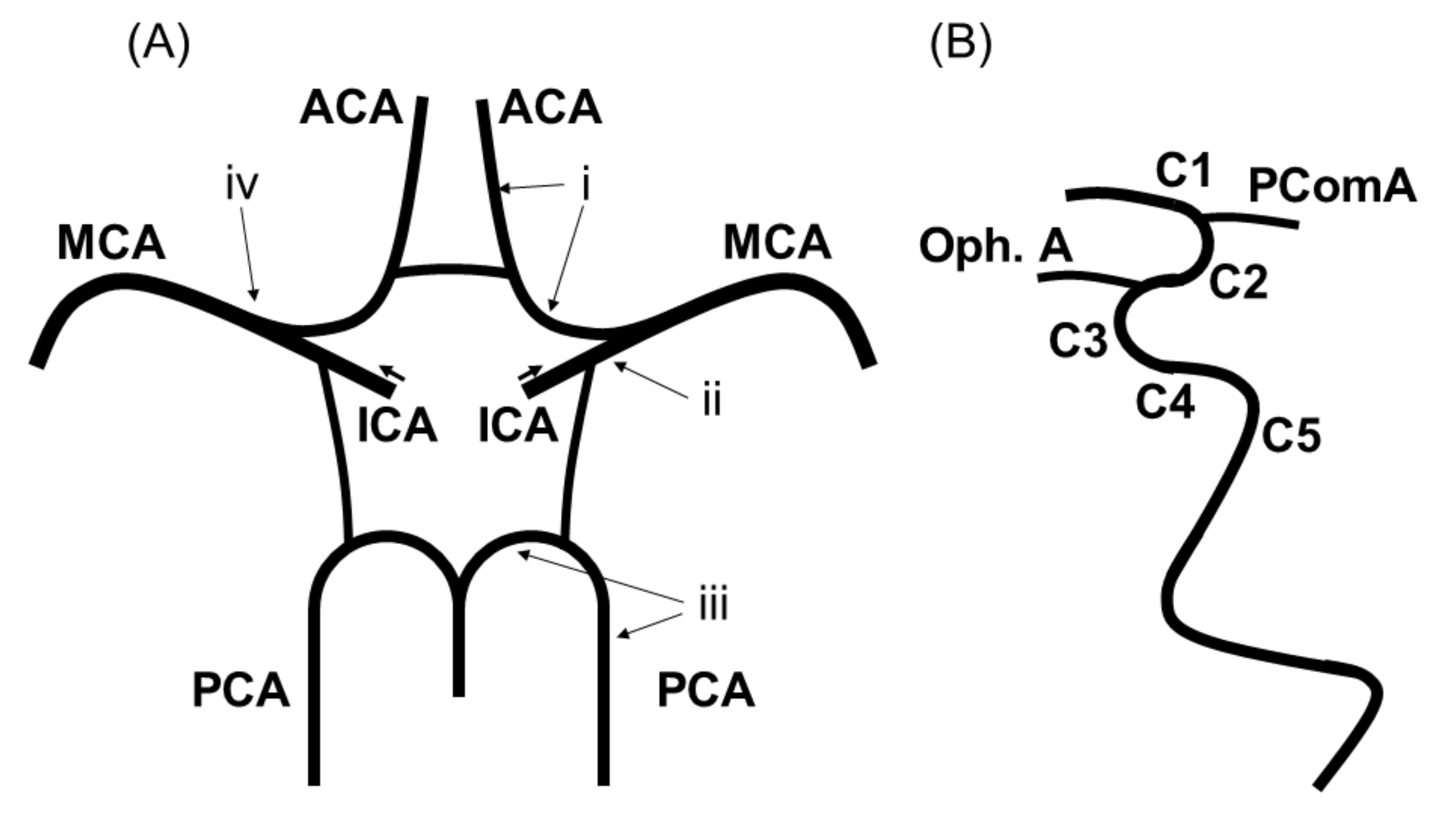 Nutrients 13 02379 g001