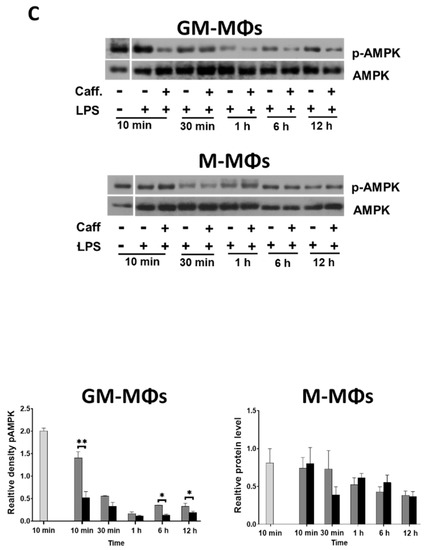 Nutrients | Free Full-Text | Caffeine Has Different Immunomodulatory Effect  on the Cytokine Expression and NLRP3 Inflammasome Function in Various Human  Macrophage Subpopulations