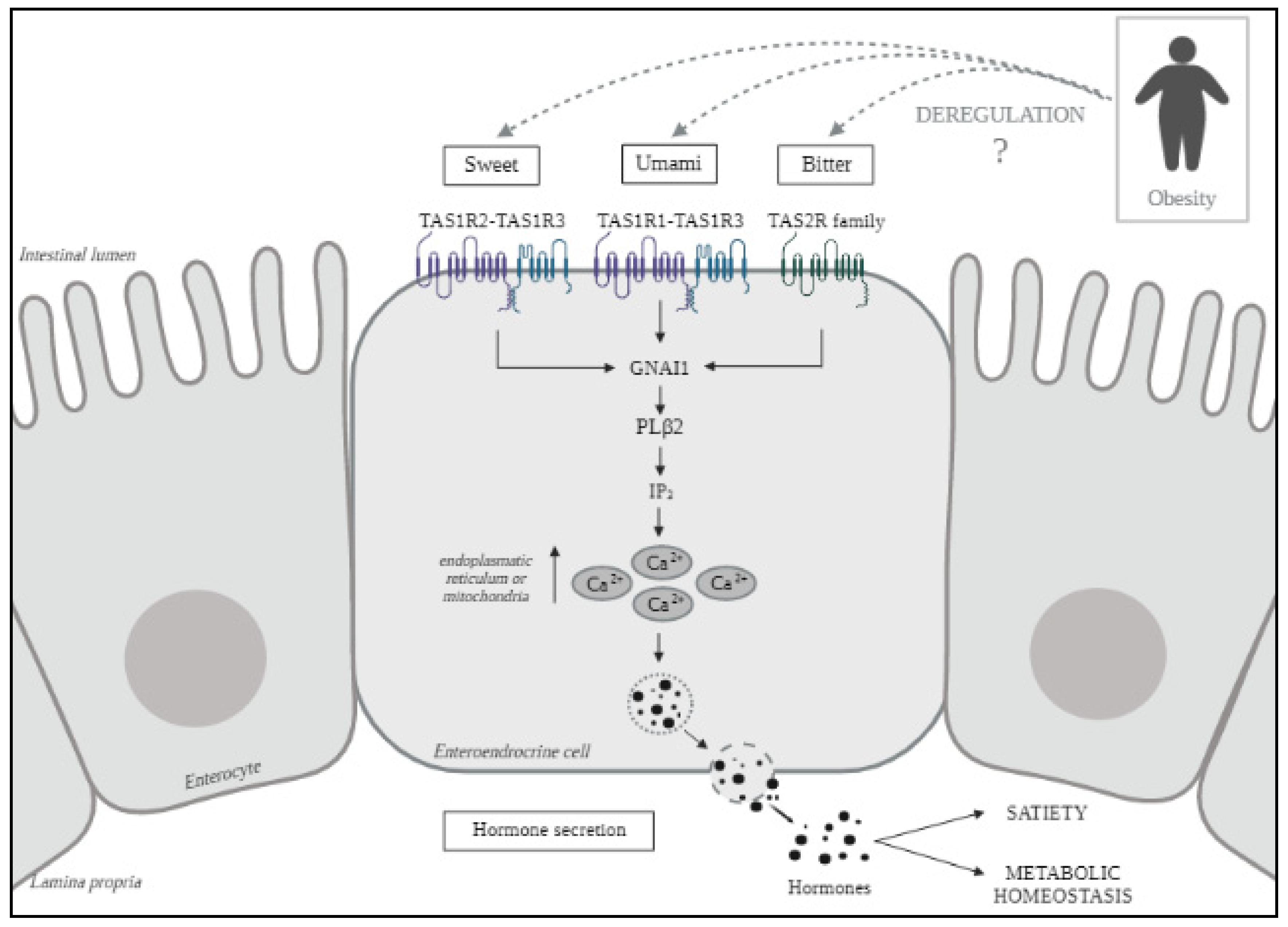 Figures and data in Bitter taste receptors confer diverse