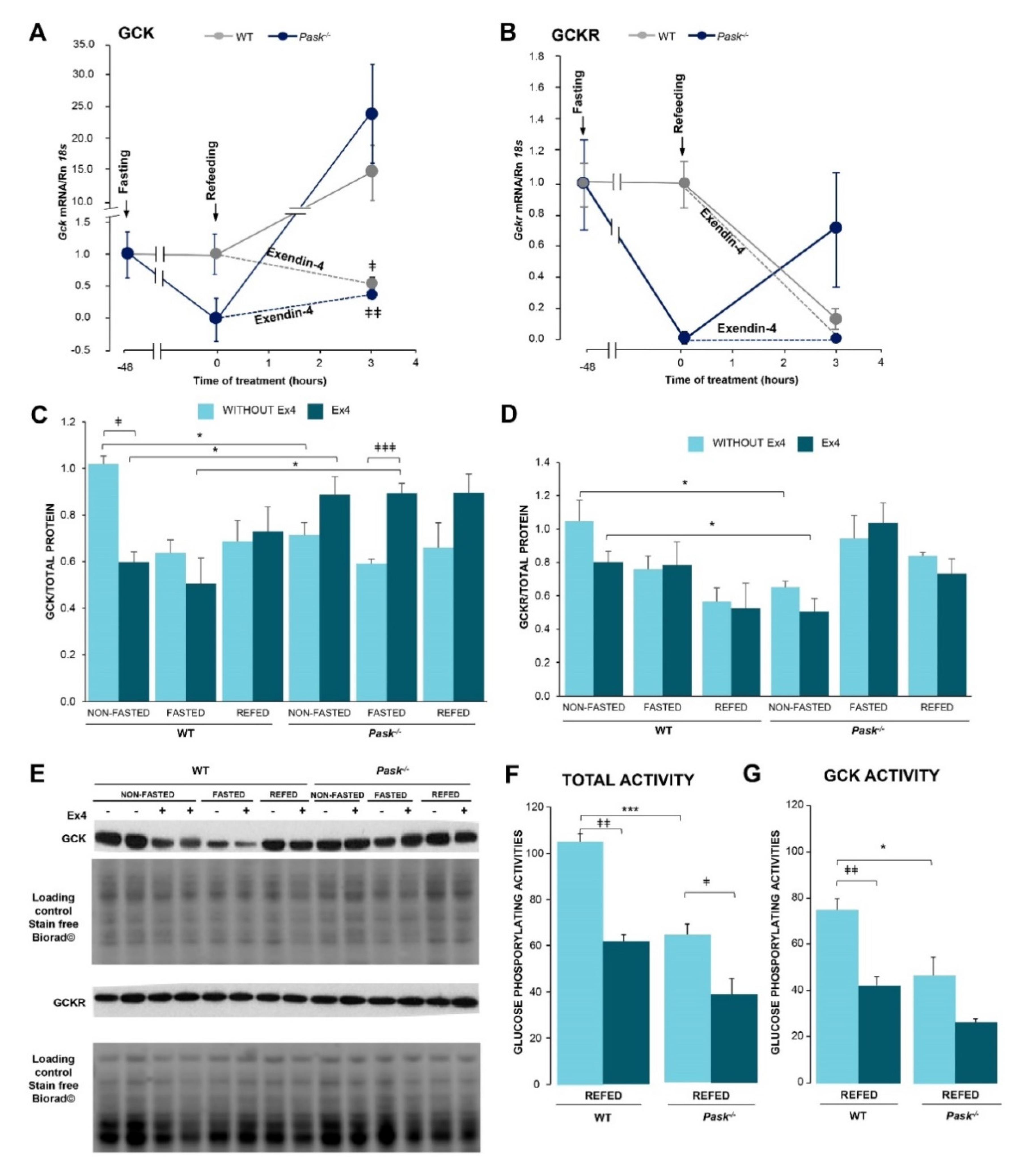 Nutrients 13 02552 g003