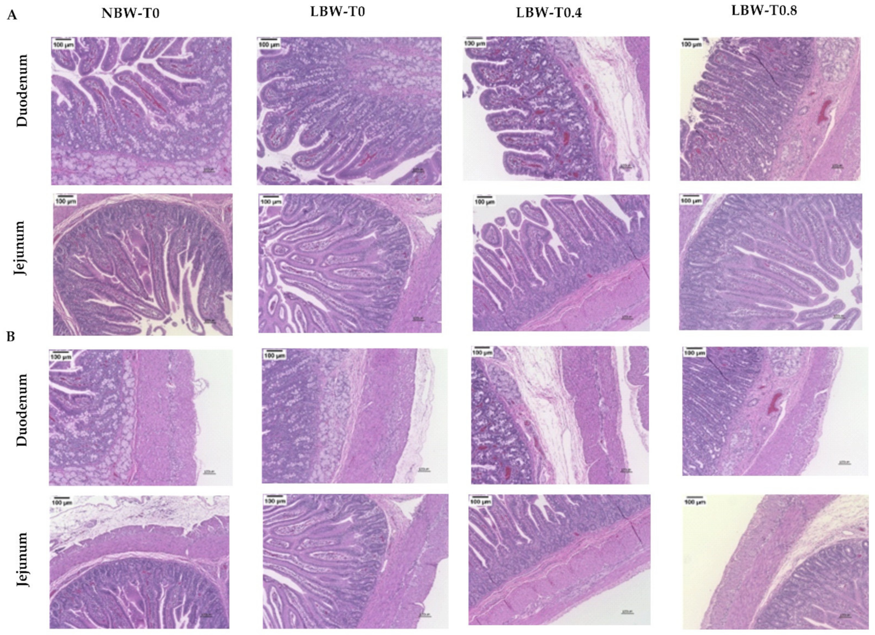 Nutrients 13 02561 g003 Nutrients 13 02561 g003
