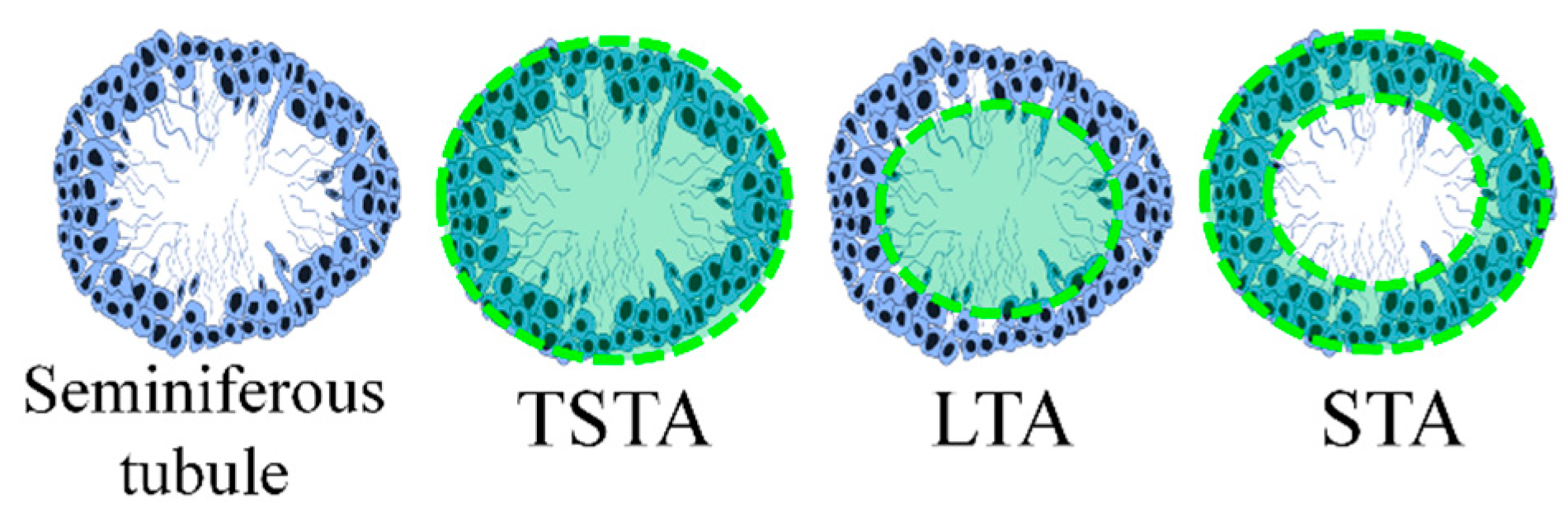 Nutrients 13 02616 g002