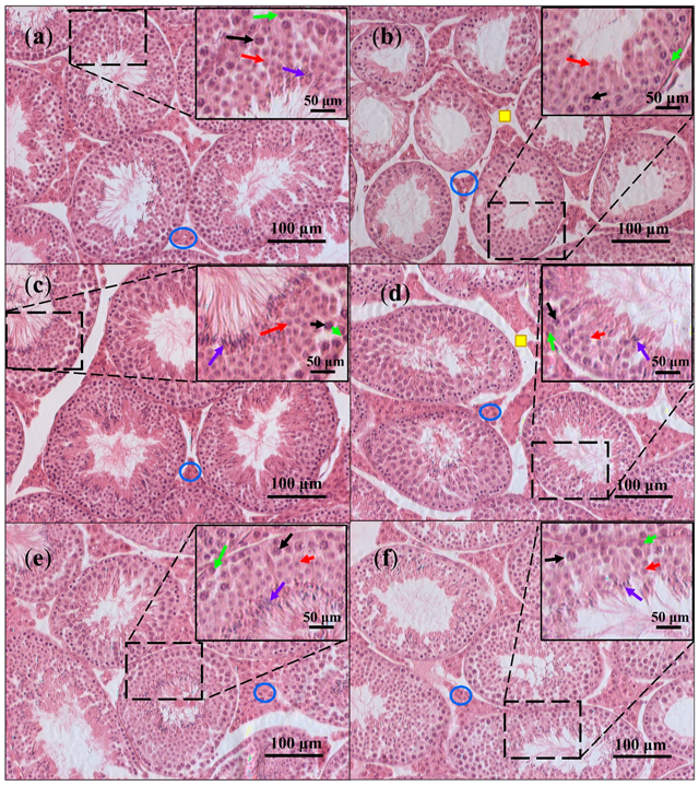 Nutrients 13 02616 g007