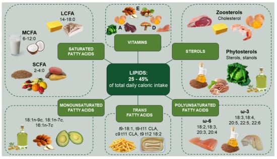 Nutrients | Free Full-Text | Impact of Dietary Lipids on the Reverse ...