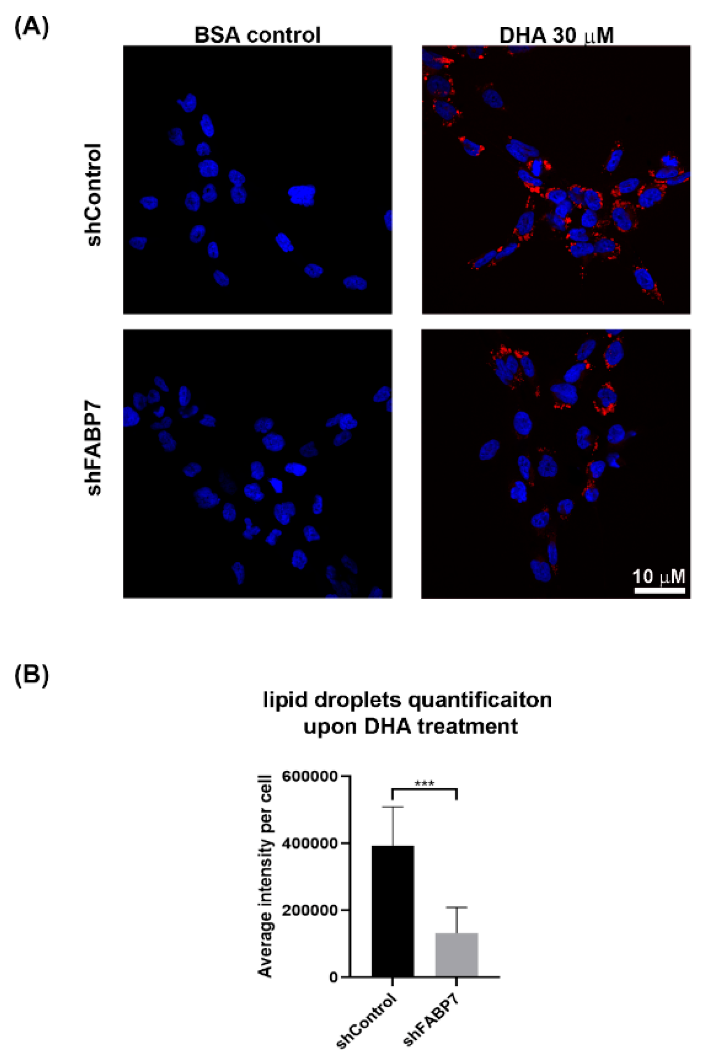 Nutrients 13 02664 g006