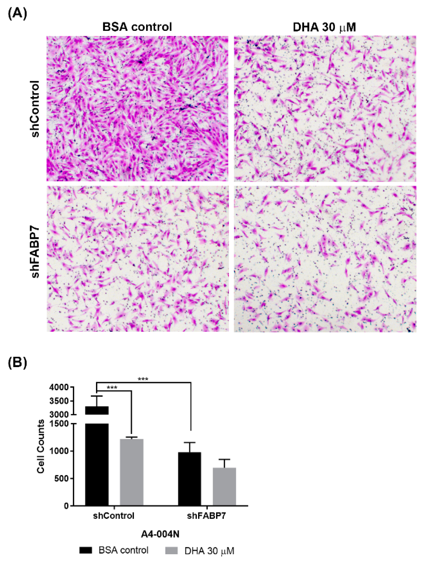 Nutrients 13 02664 g007
