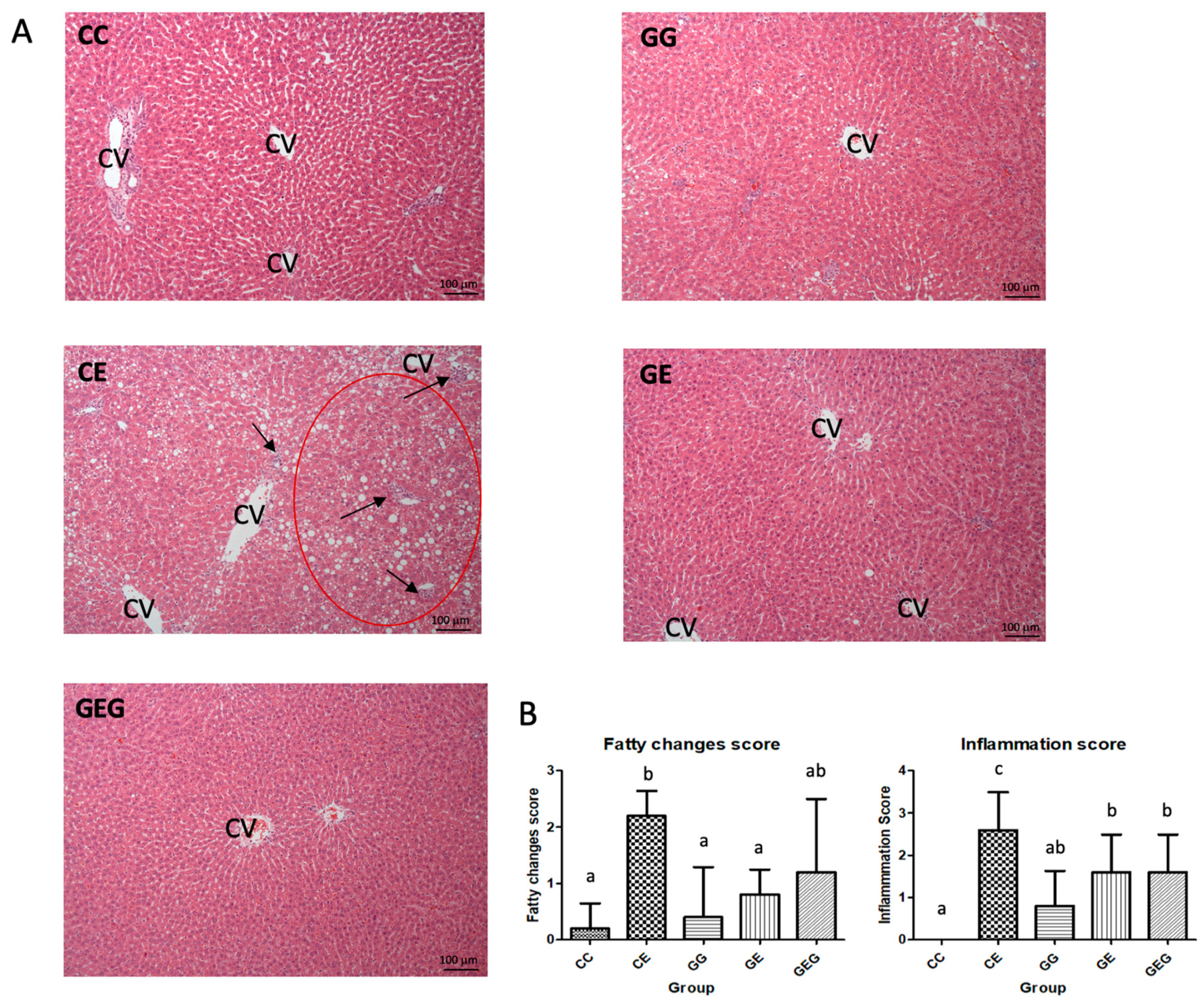 Nutrients 13 02788 g001