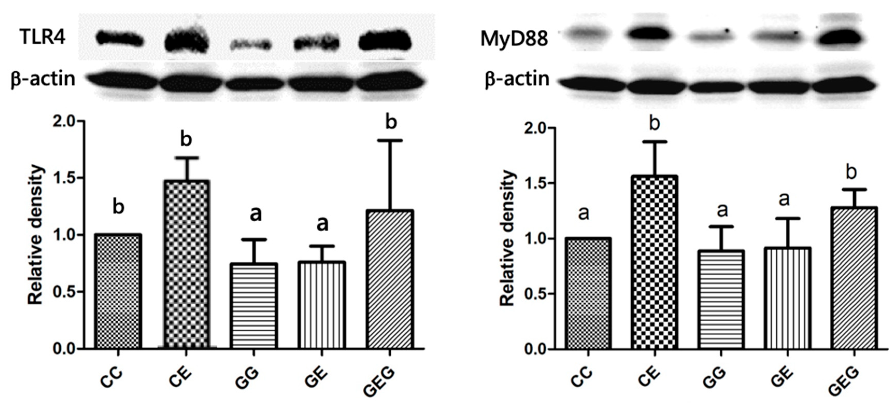 Nutrients 13 02788 g003