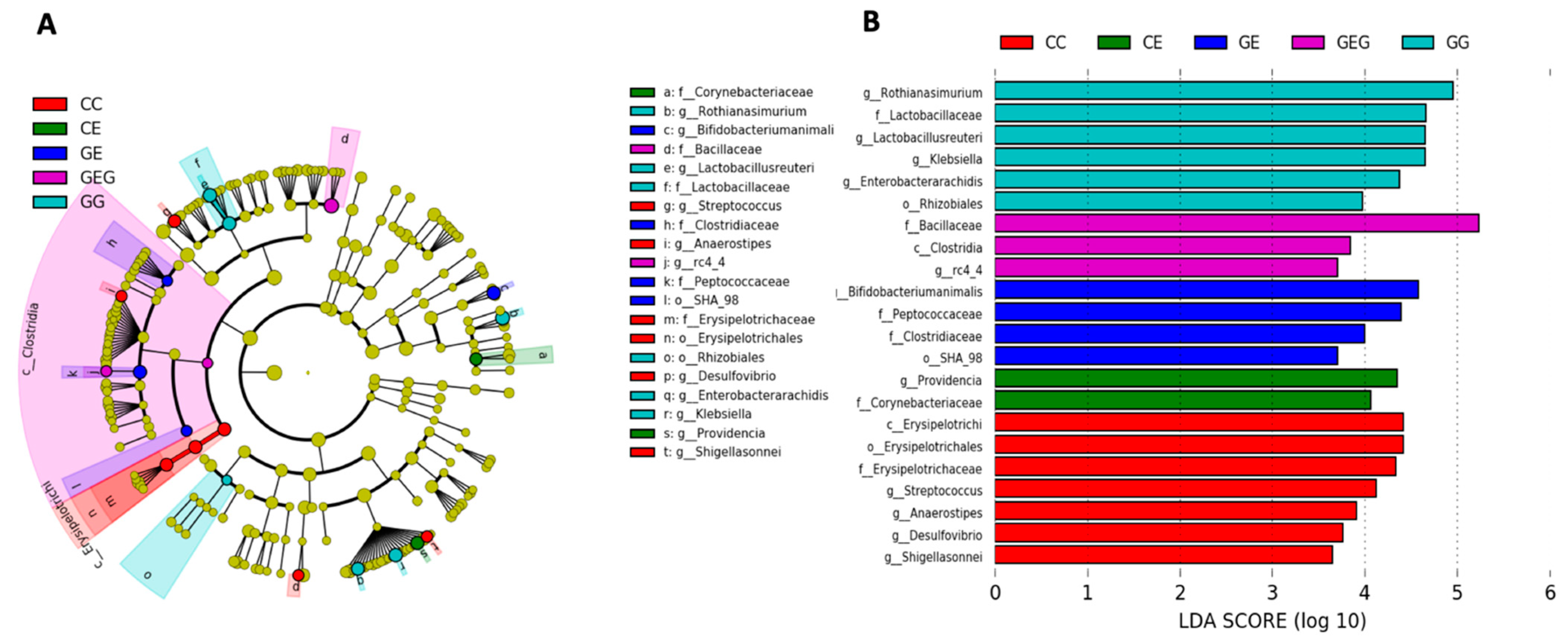 Nutrients 13 02788 g006
