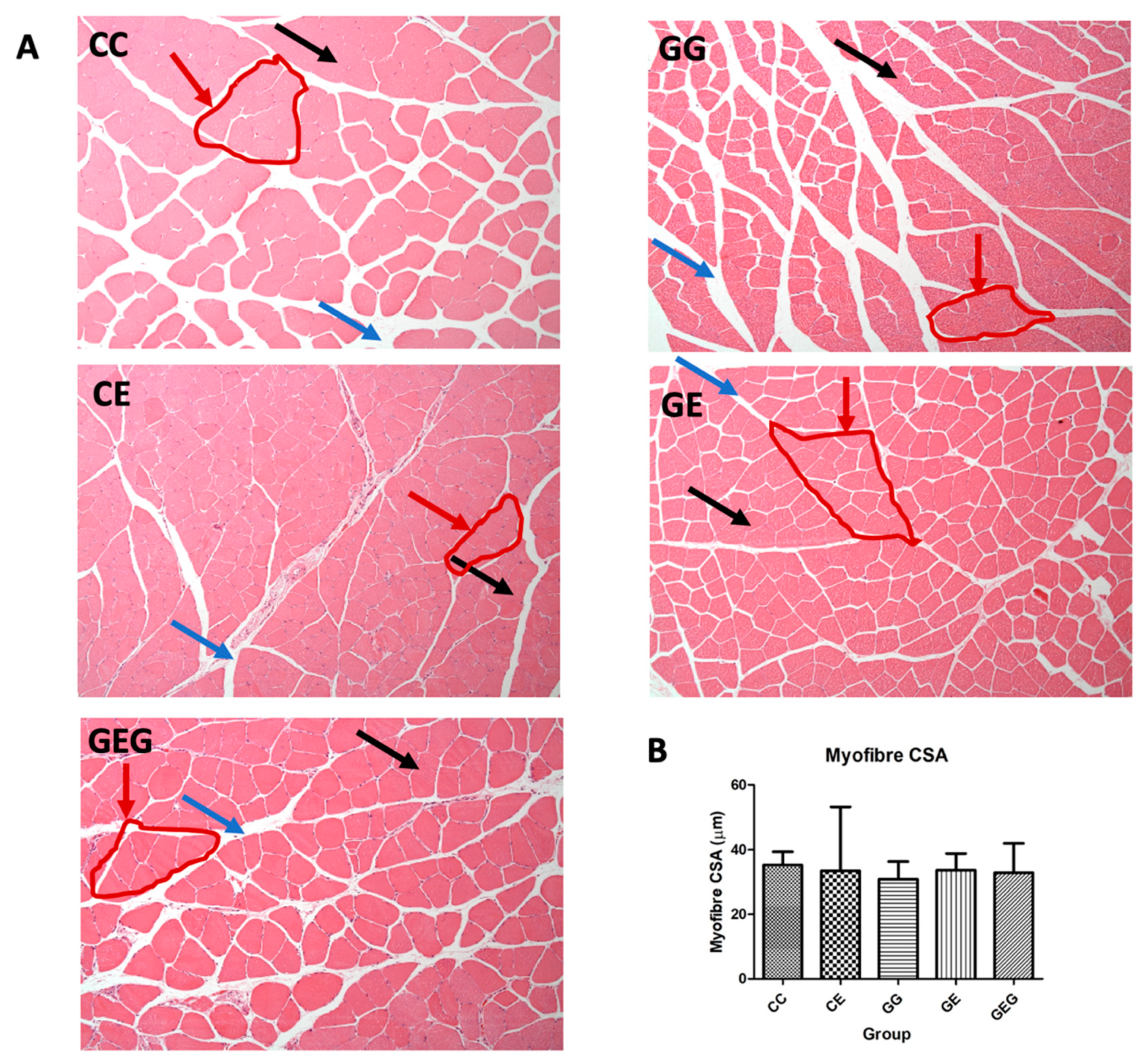 Nutrients 13 02788 g007