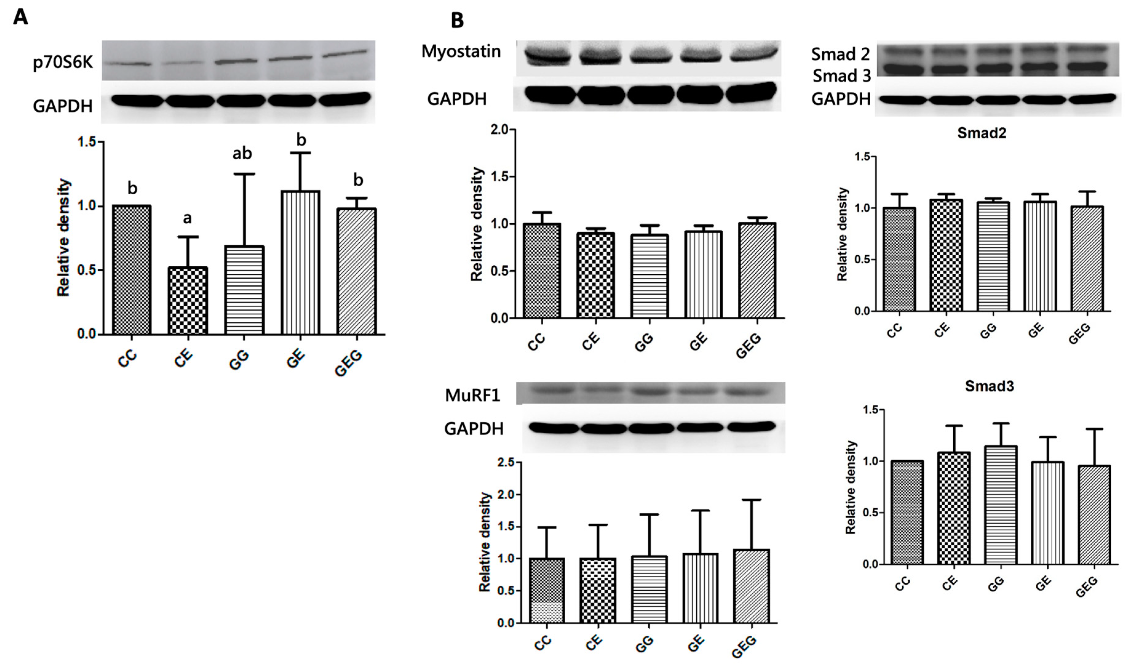 Nutrients 13 02788 g008