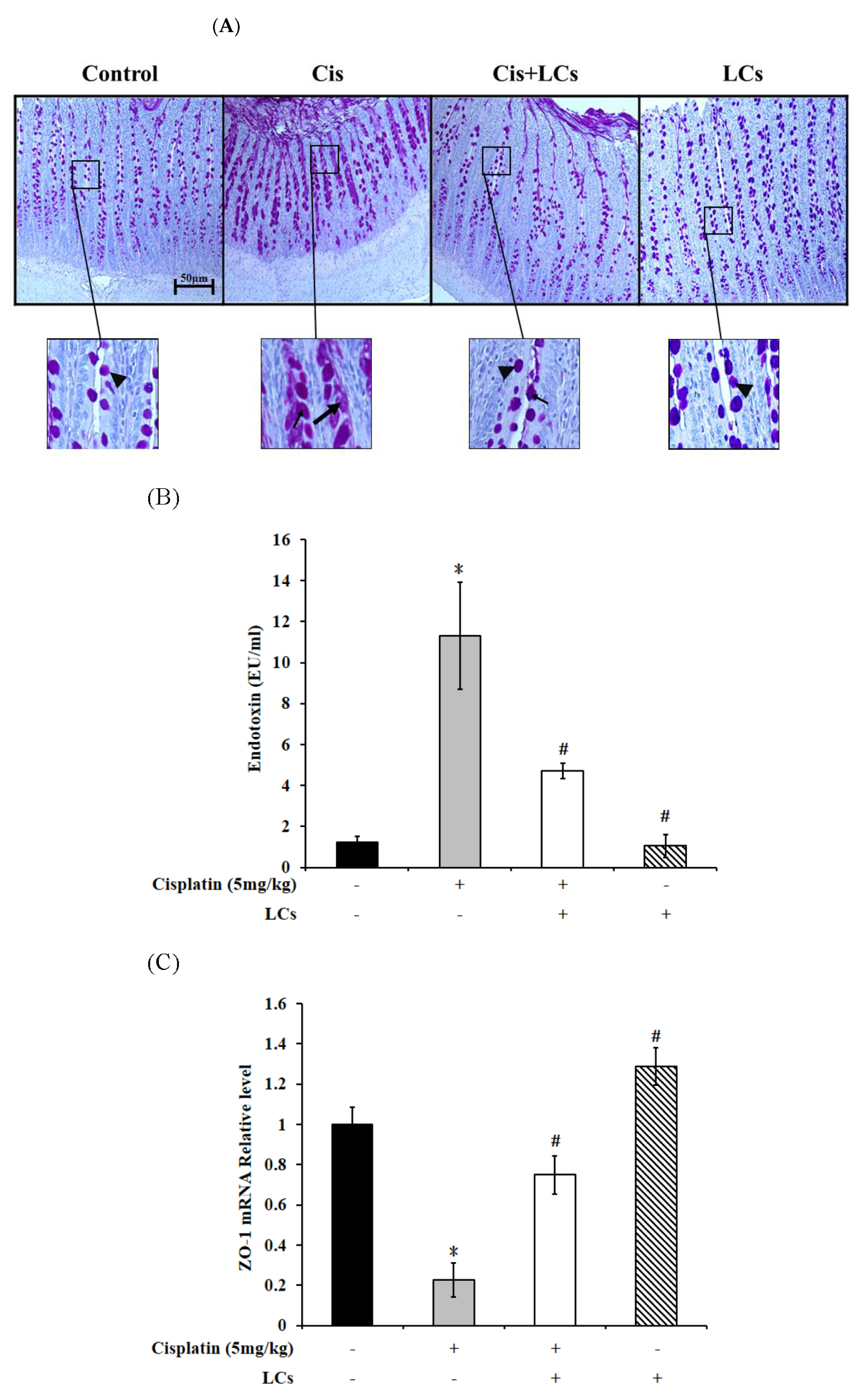 Nutrients 13 02792 g005