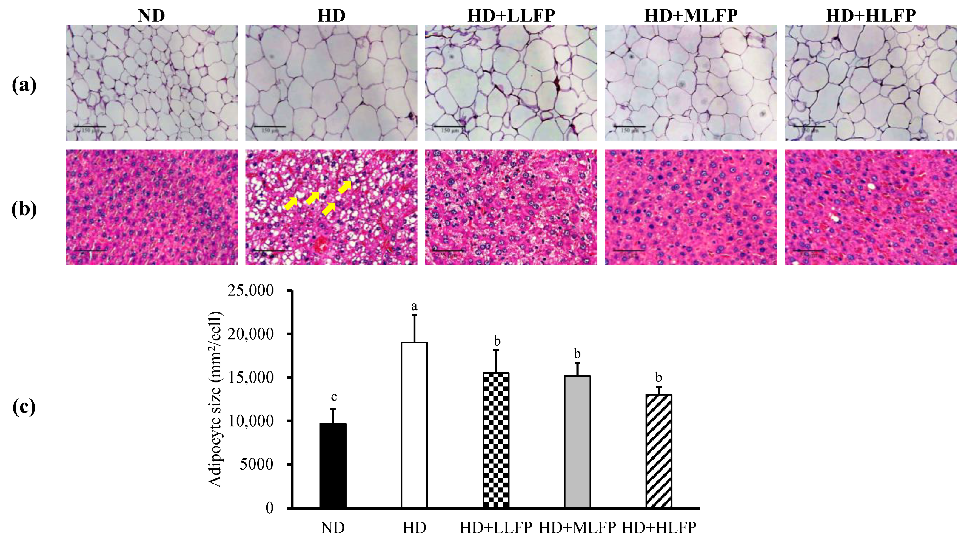Nutrients 13 02809 g005