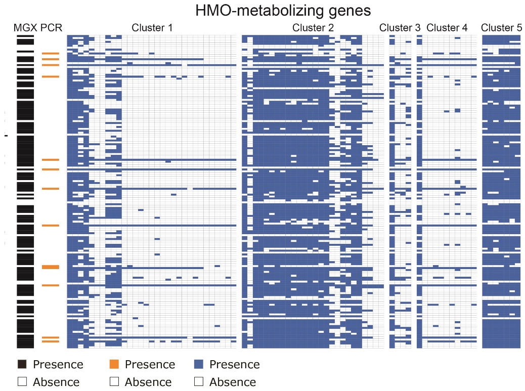 Nutrients 13 02833 g004