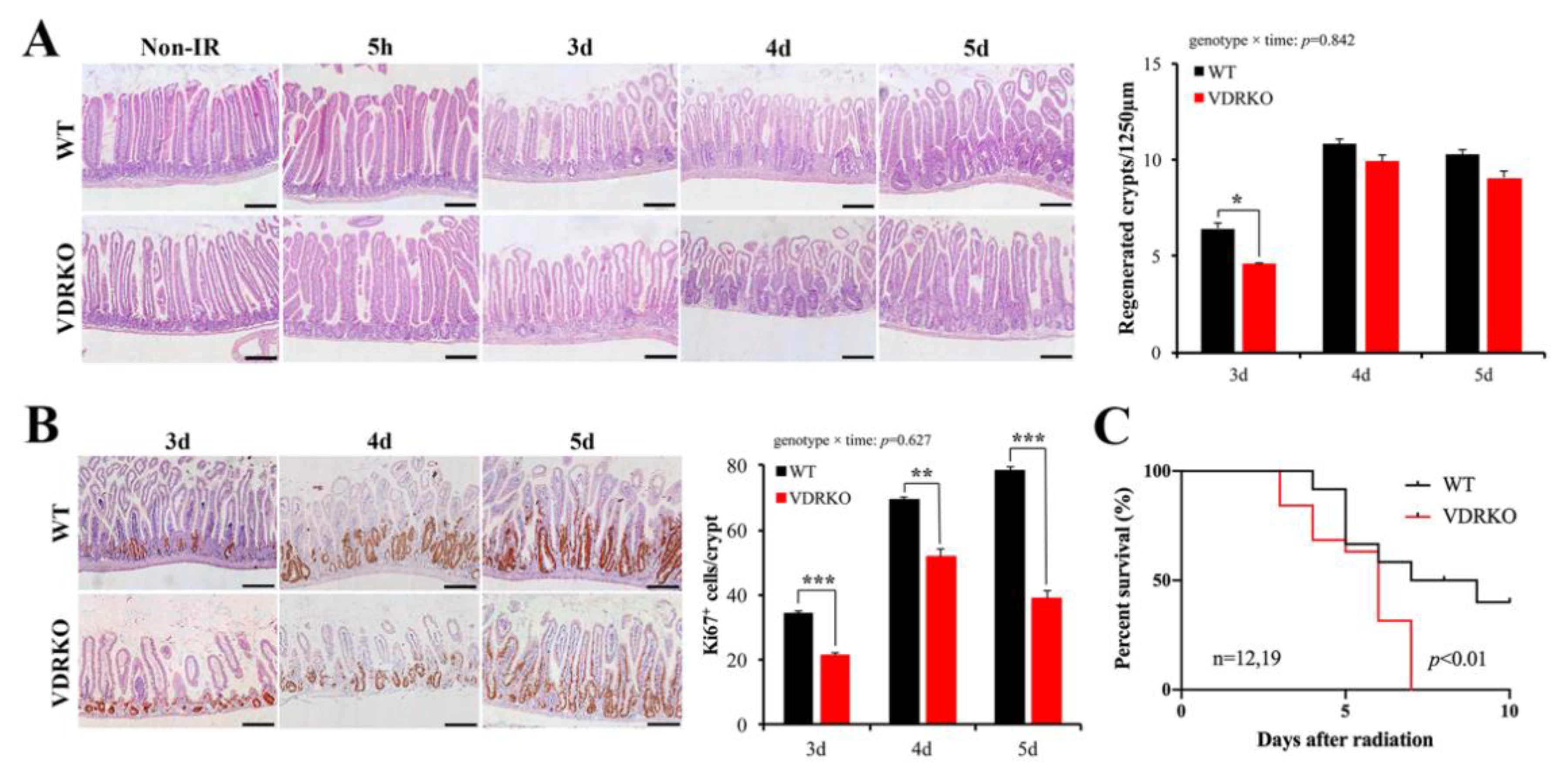Nutrients 13 02910 g004