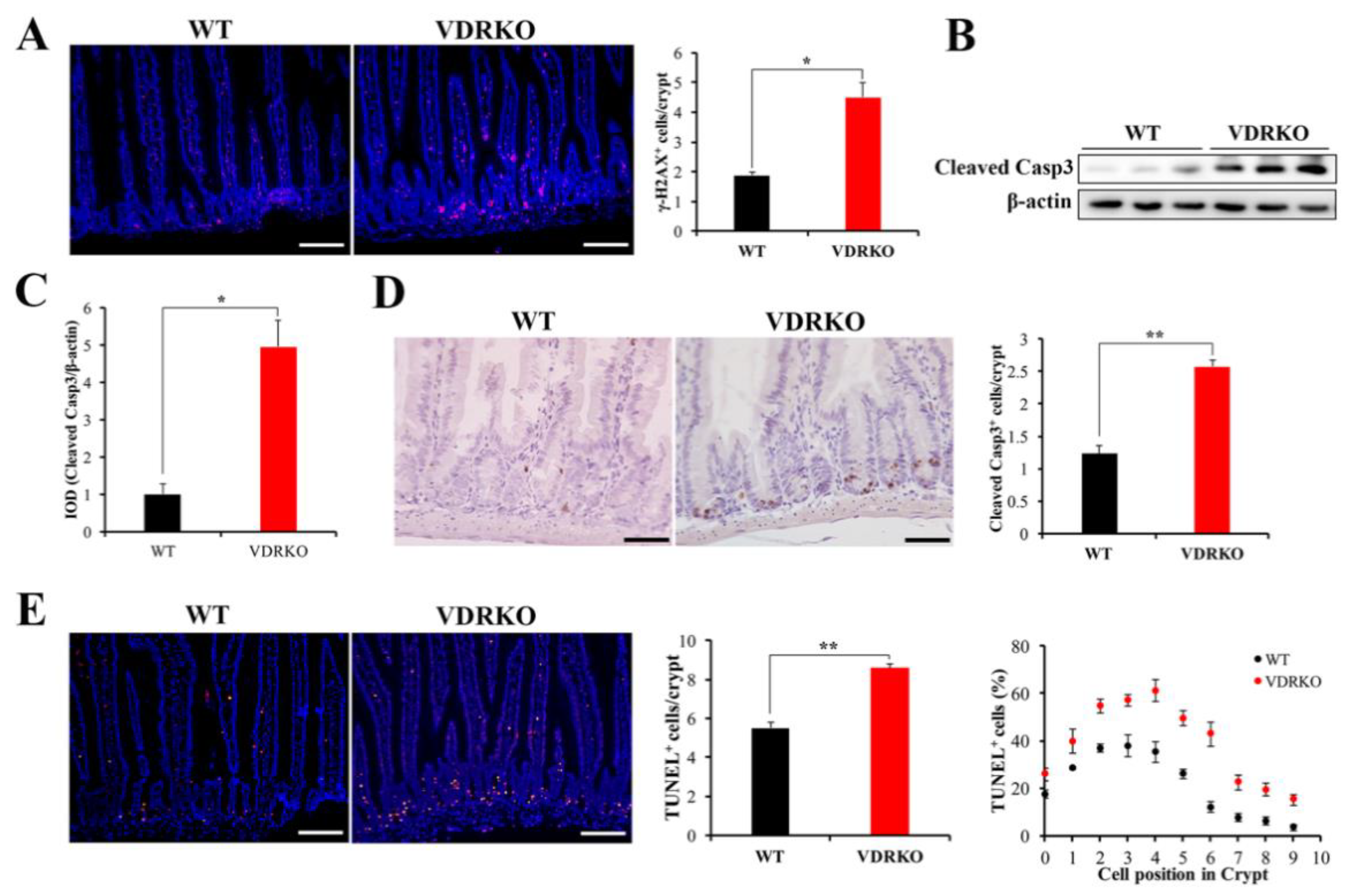 Nutrients 13 02910 g005