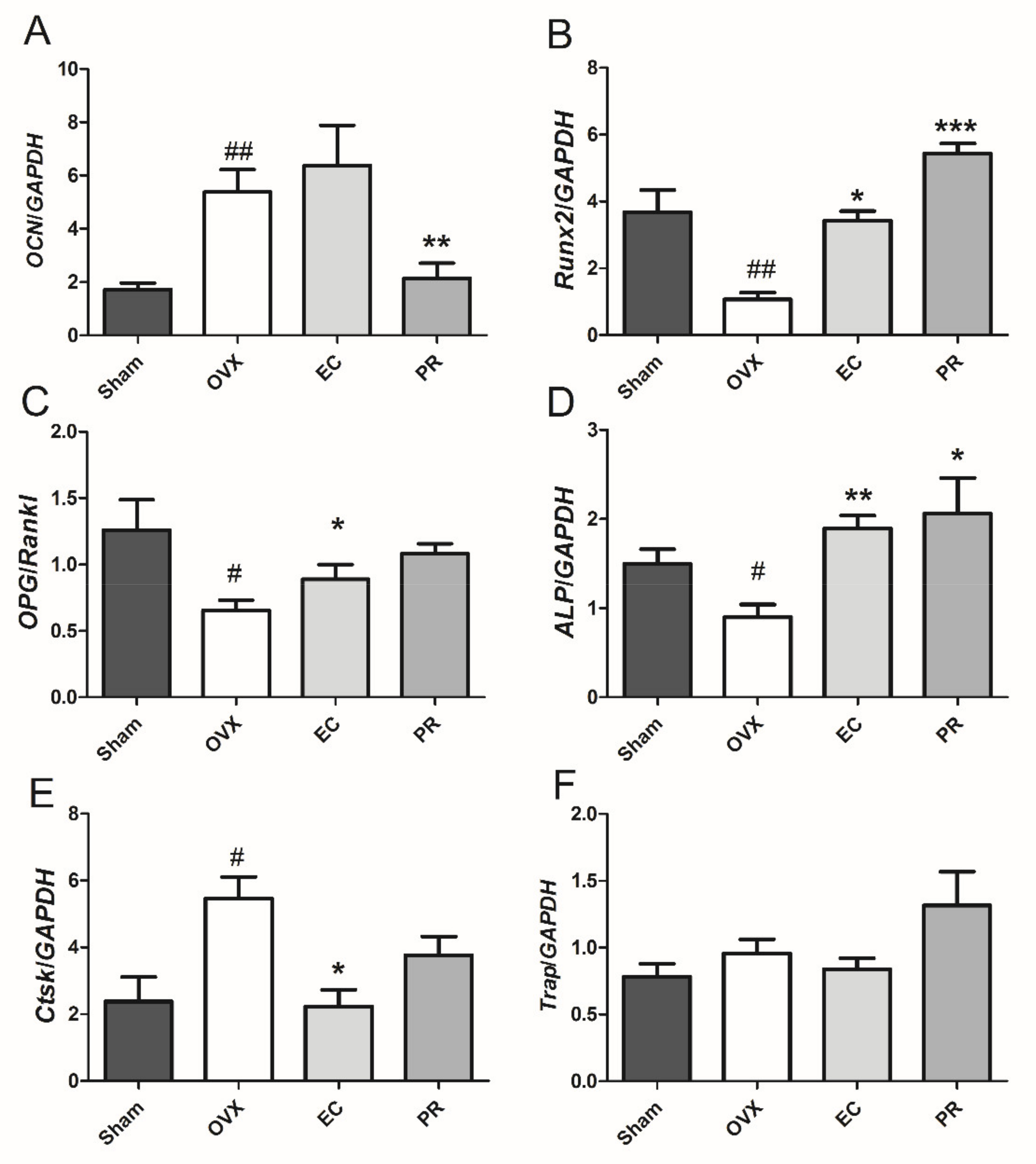 Nutrients 13 02943 g001