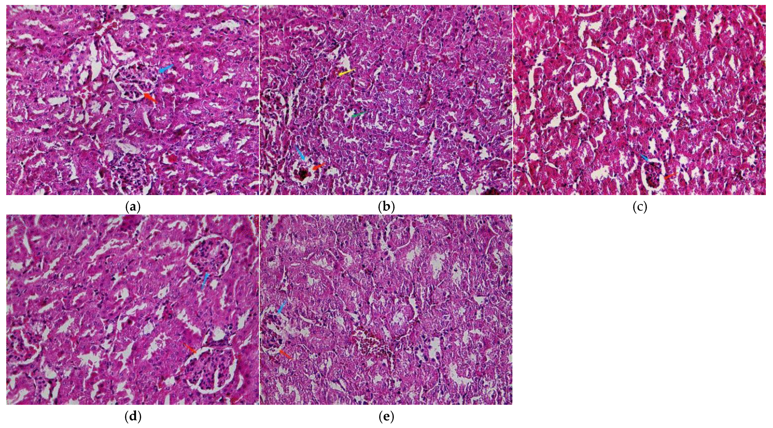 Nutrients 13 02945 g002