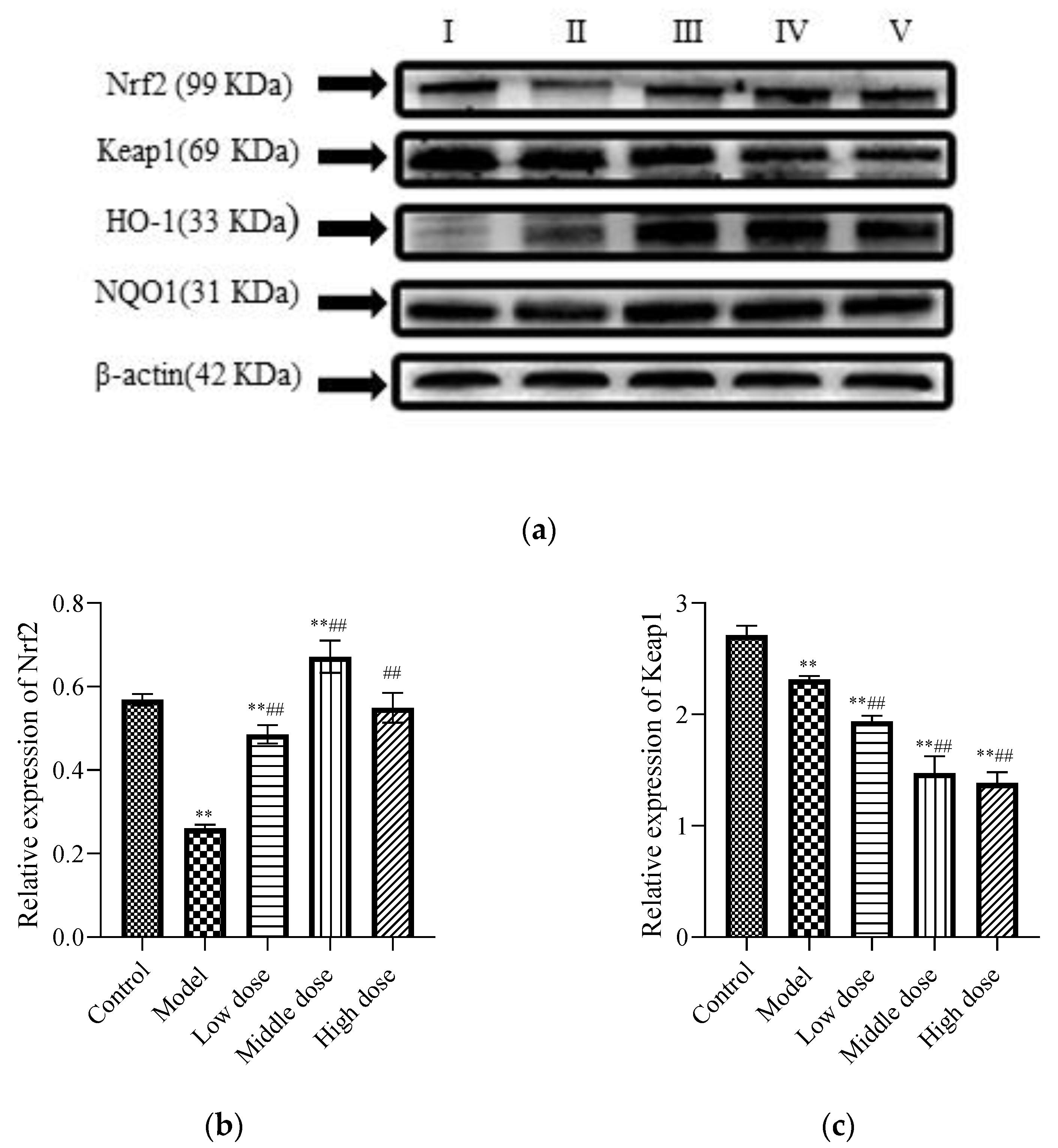 Nutrients 13 02945 g006a