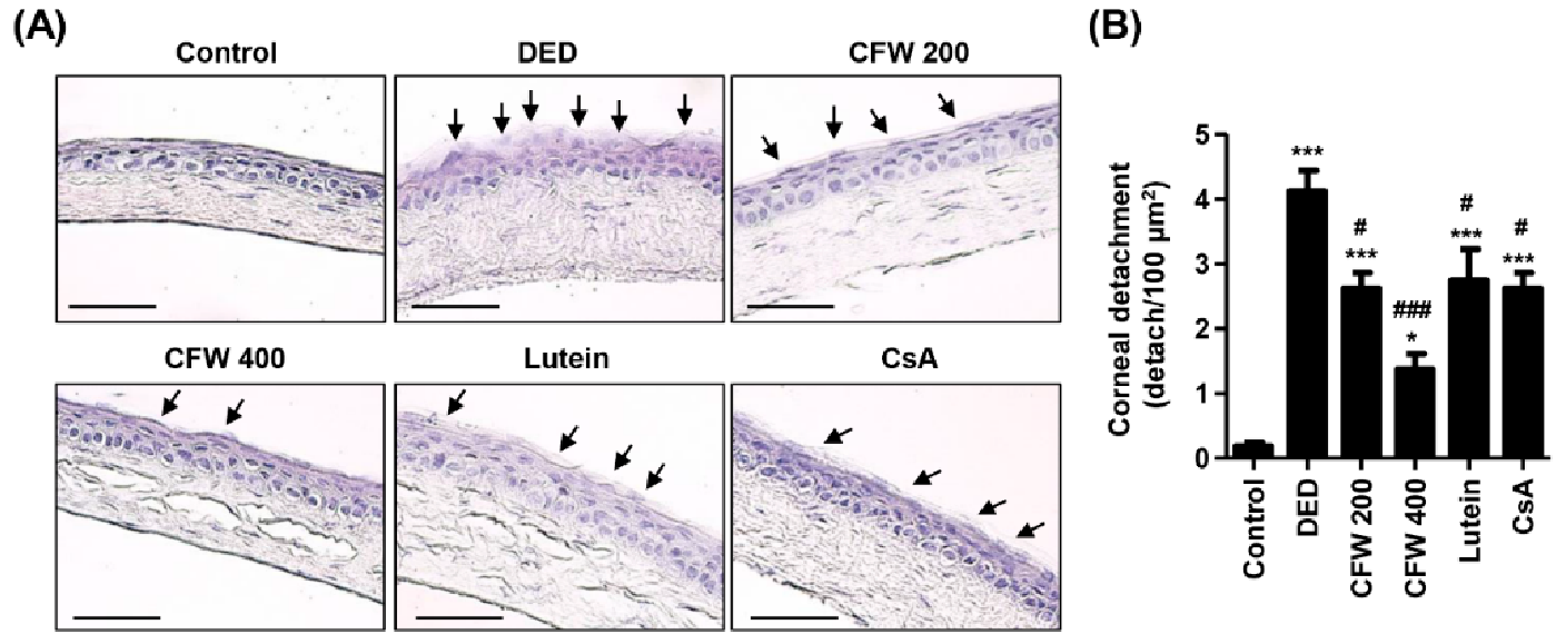 https://www.mdpi.com/nutrients/nutrients-13-02986/article_deploy/html/images/nutrients-13-02986-g002.png