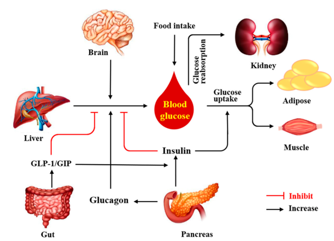 Nutrients 13 03038 g001