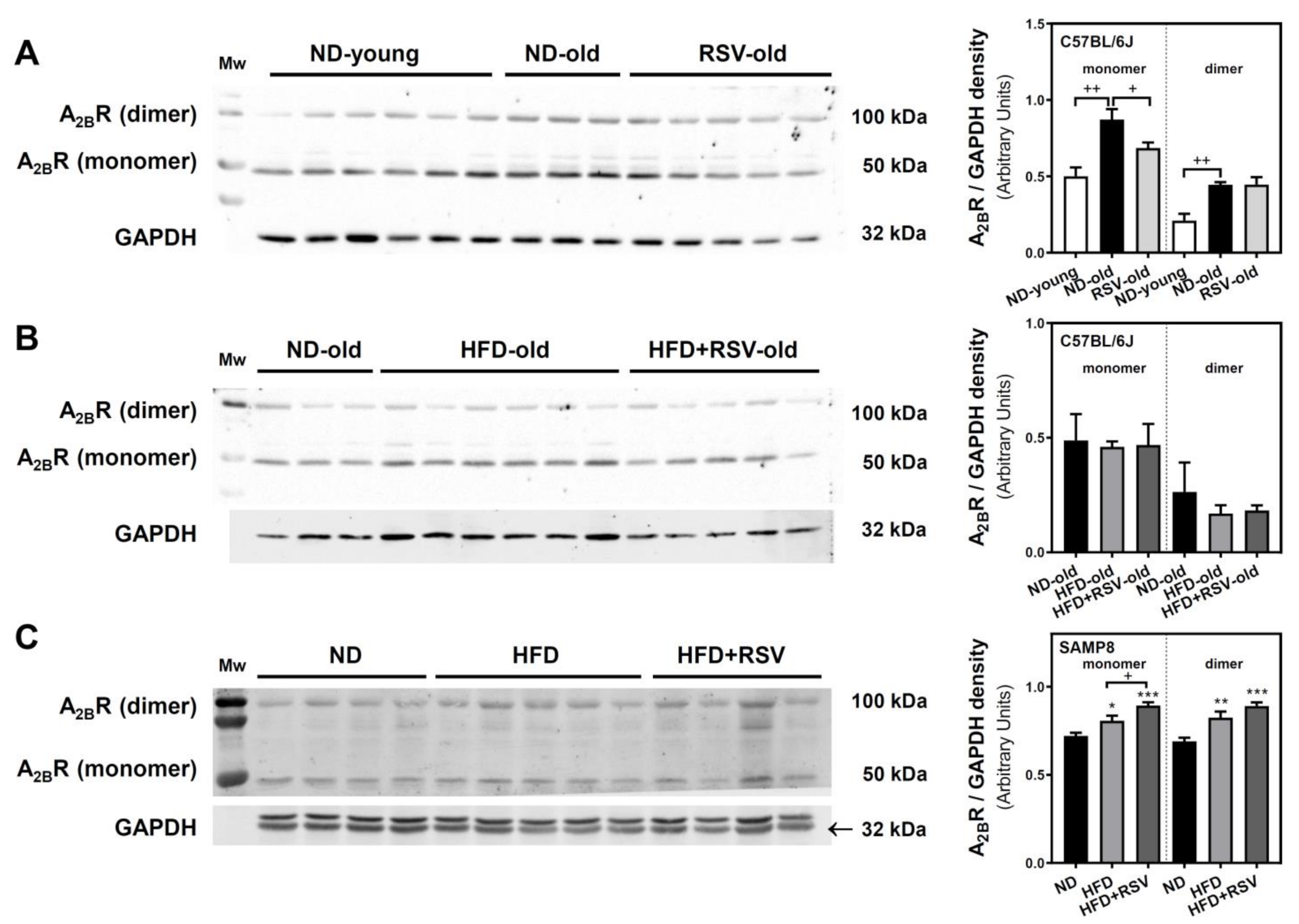 Nutrients 13 03040 g004