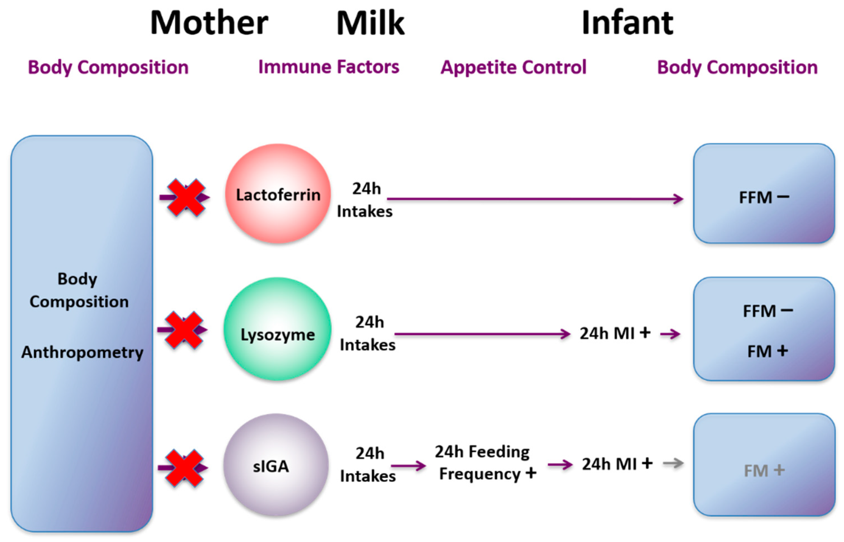 Nutrients 13 03071 g010