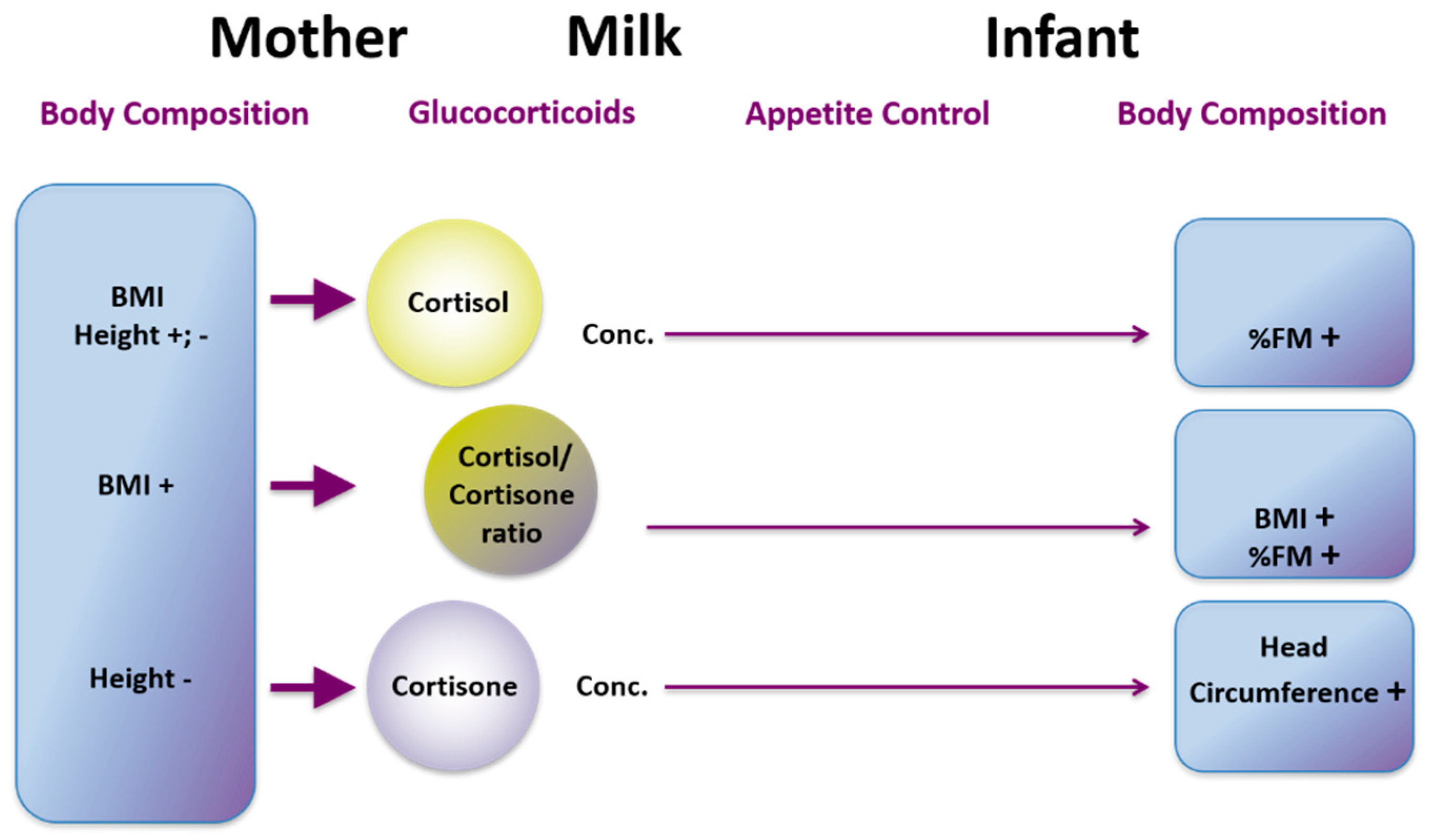 Nutrients 13 03071 g012