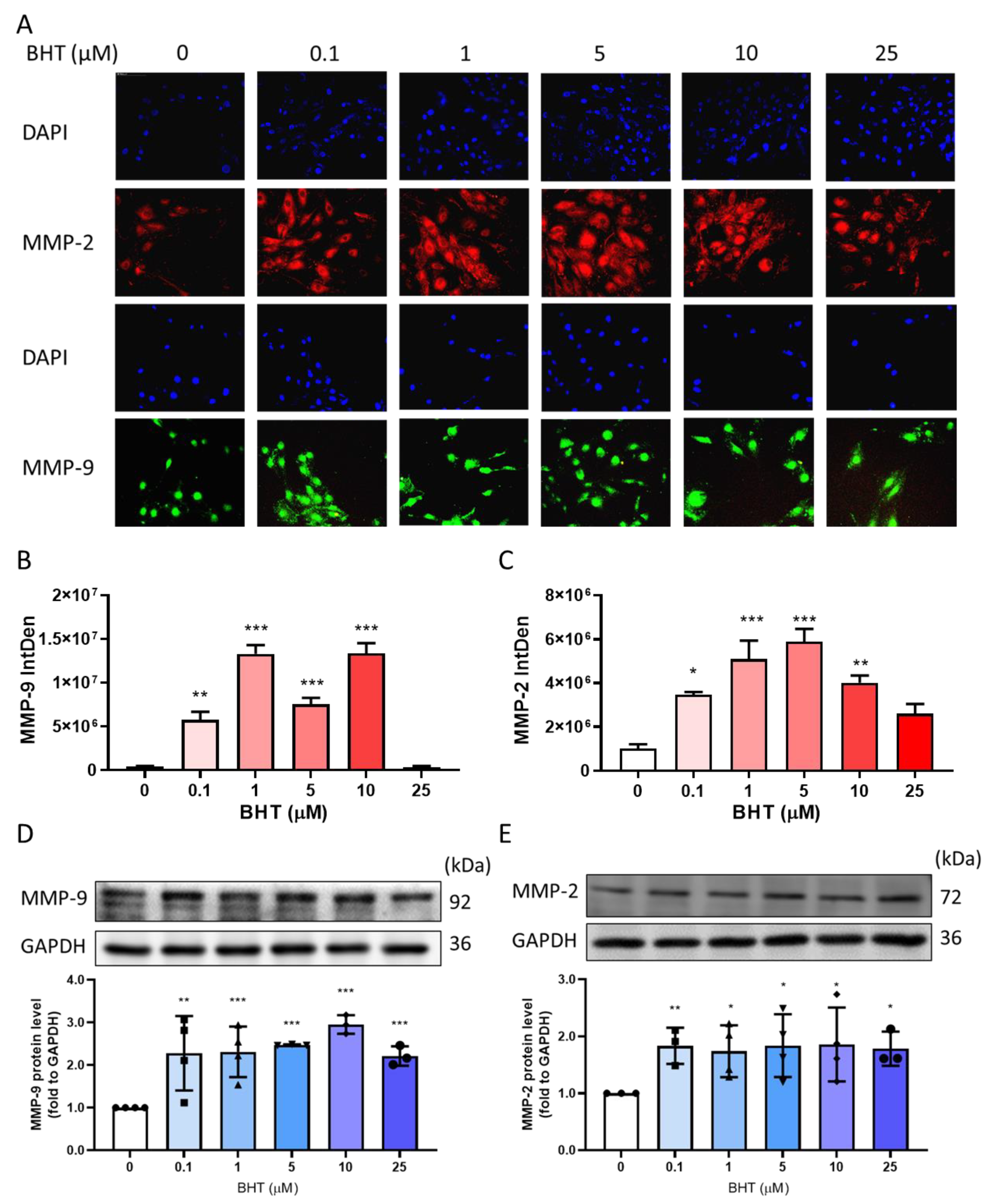 Nutrients 13 03074 g002