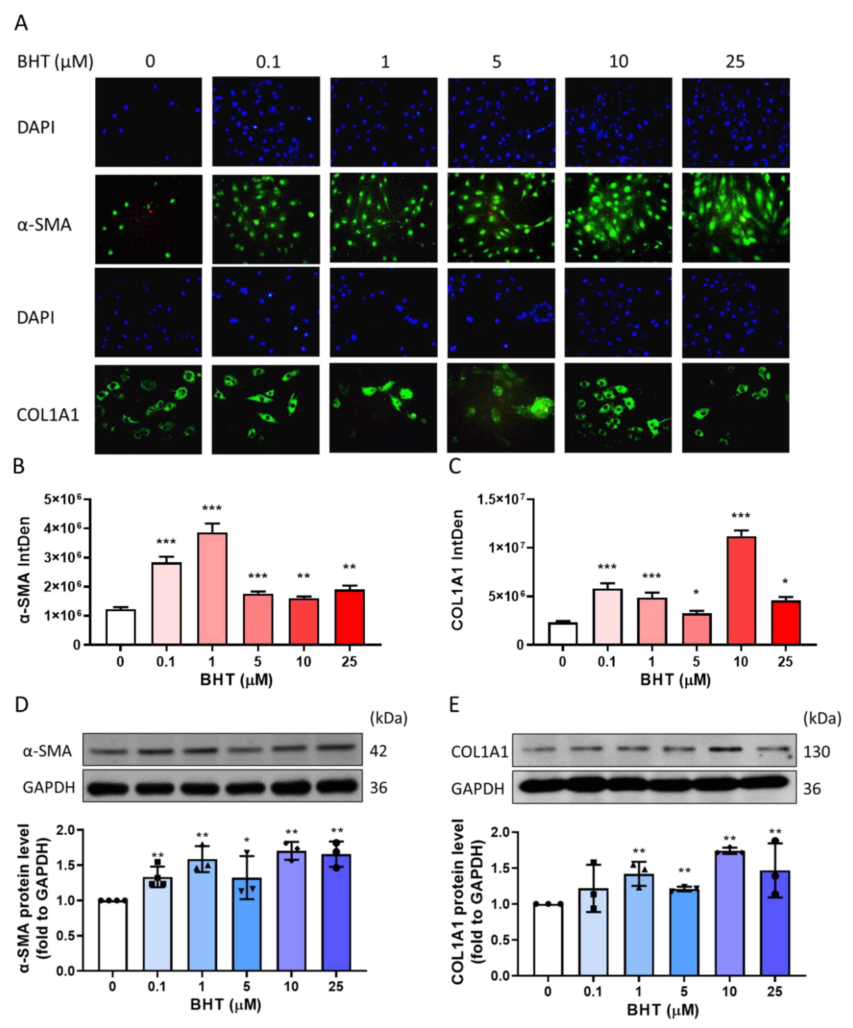 Nutrients 13 03074 g003