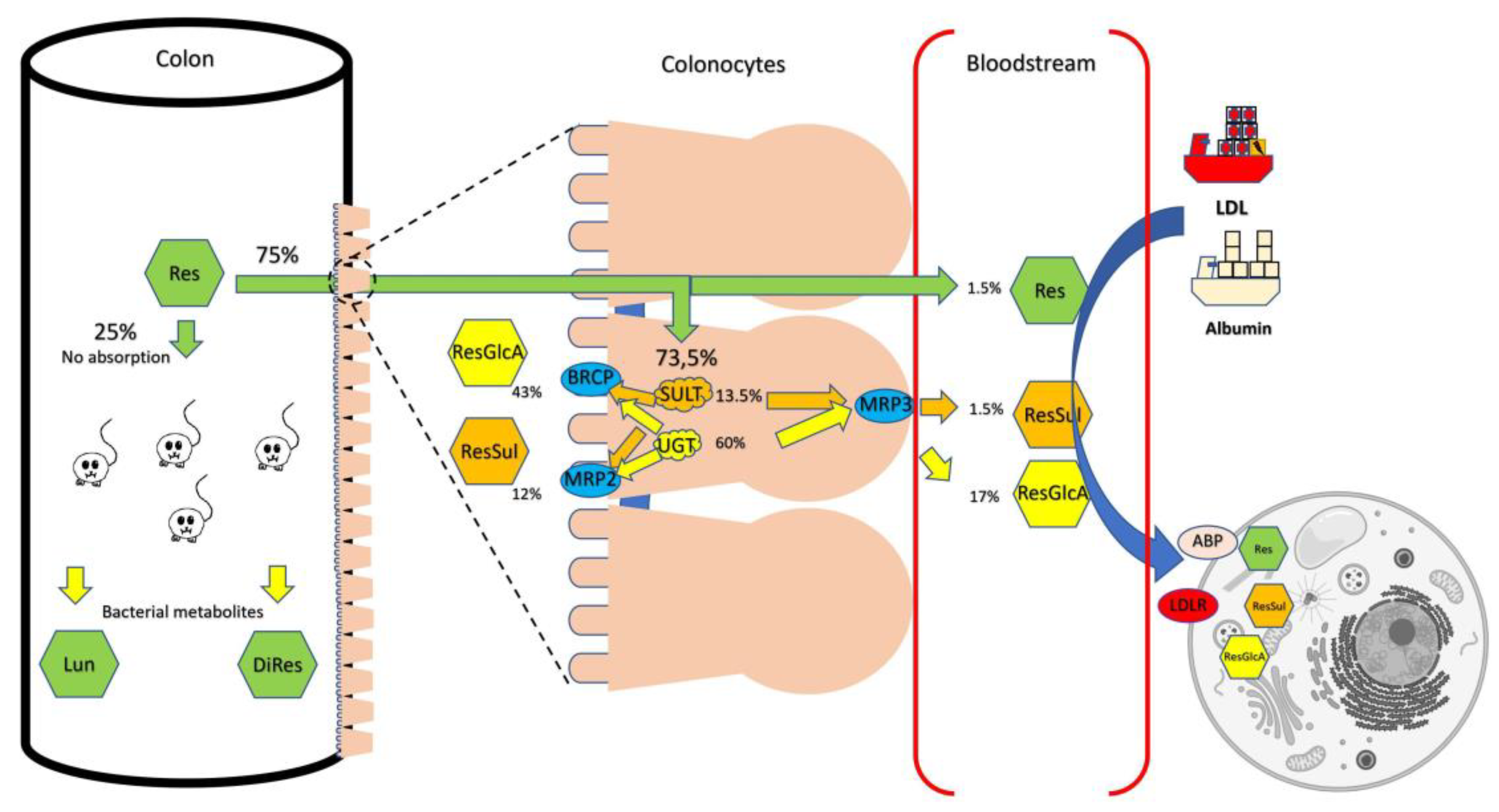 Nutrients 13 03095 g002