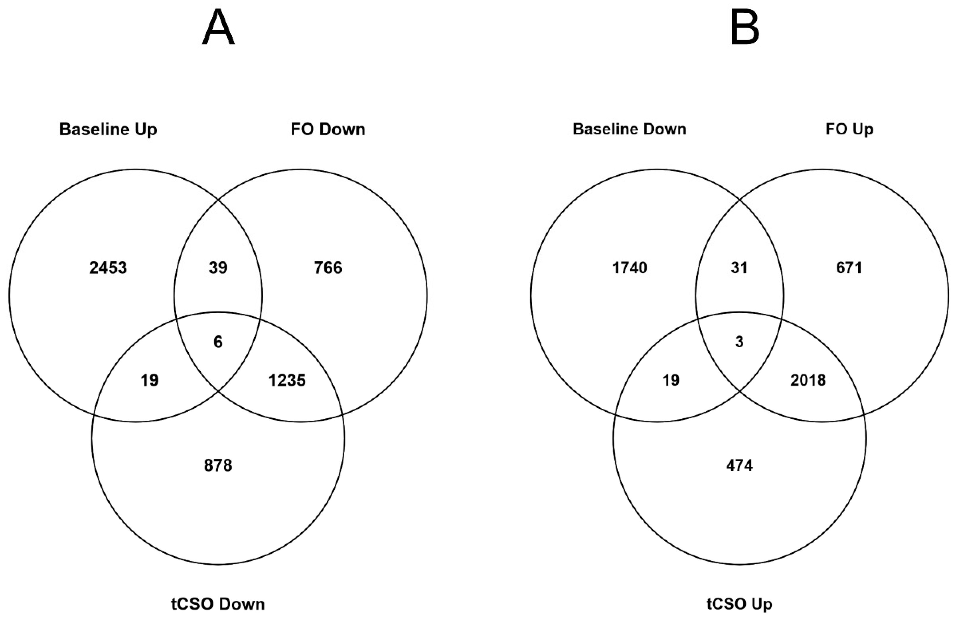Nutrients 13 03116 g002