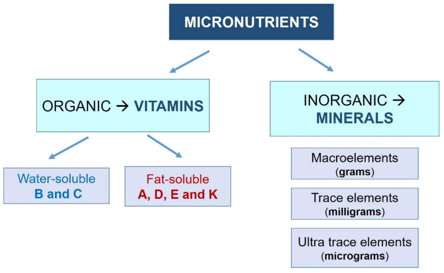 Nutrients | Free Full-Text | Is Supplementation with Micronutrients Still  Necessary during Pregnancy? A Review