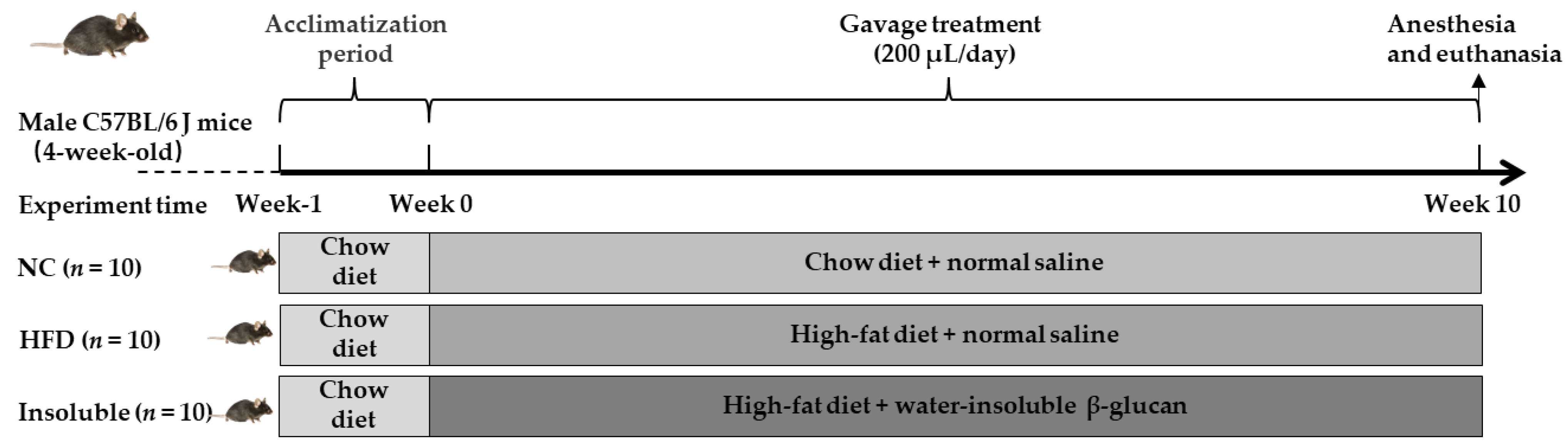 Nutrients 13 03254 g001 Nutrients 13 03254 g001