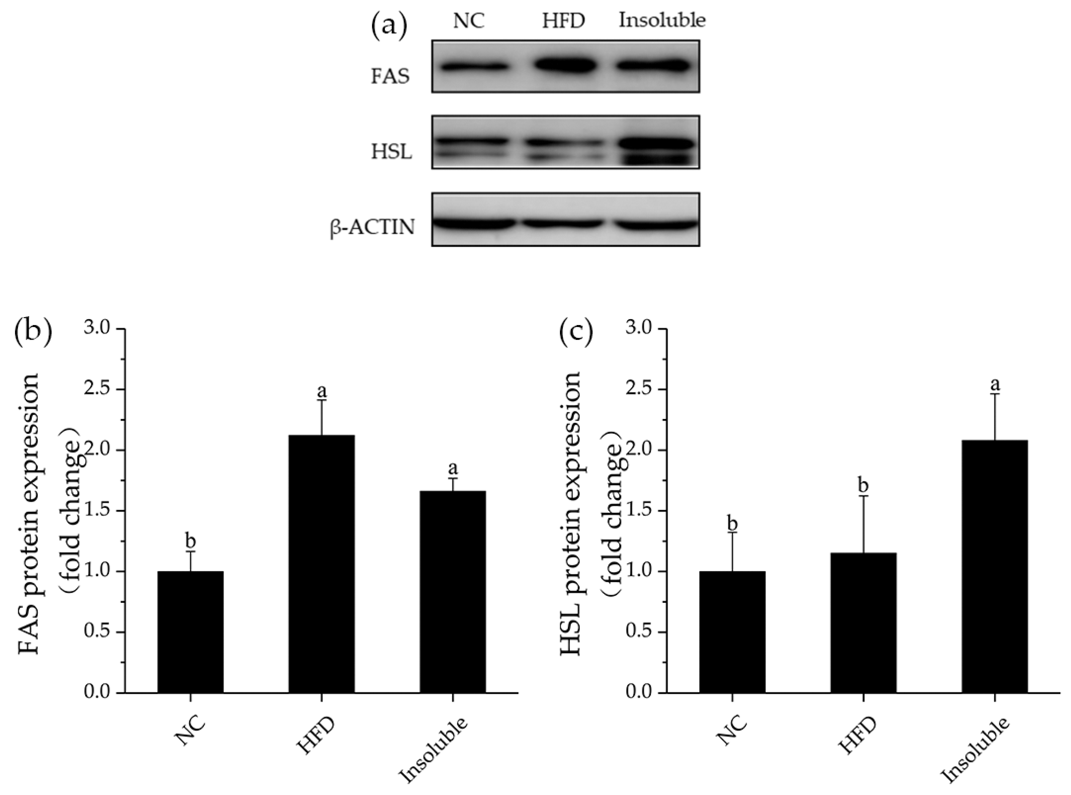 Nutrients 13 03254 g008 Nutrients 13 03254 g008