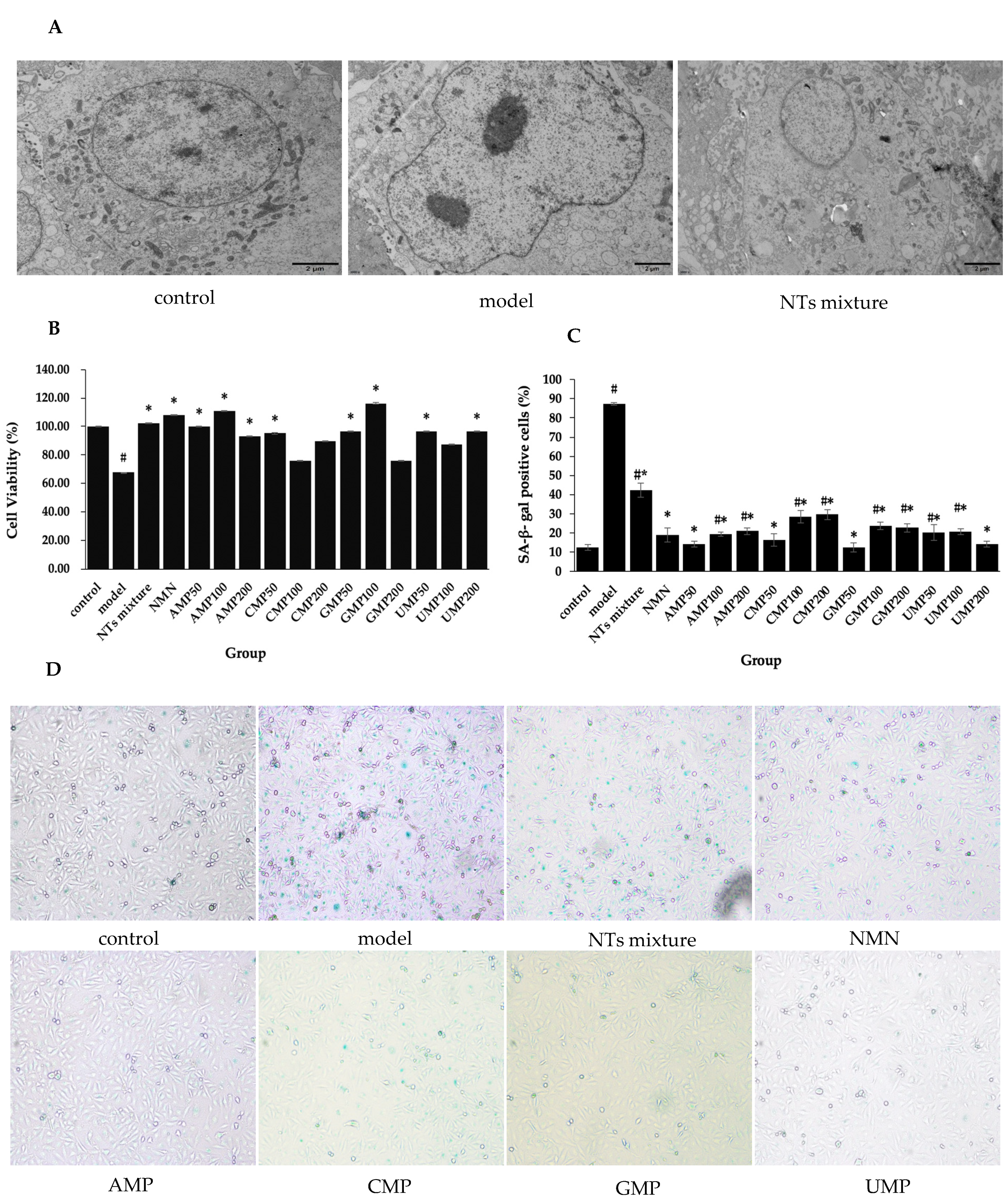 Nutrients 13 03279 g001