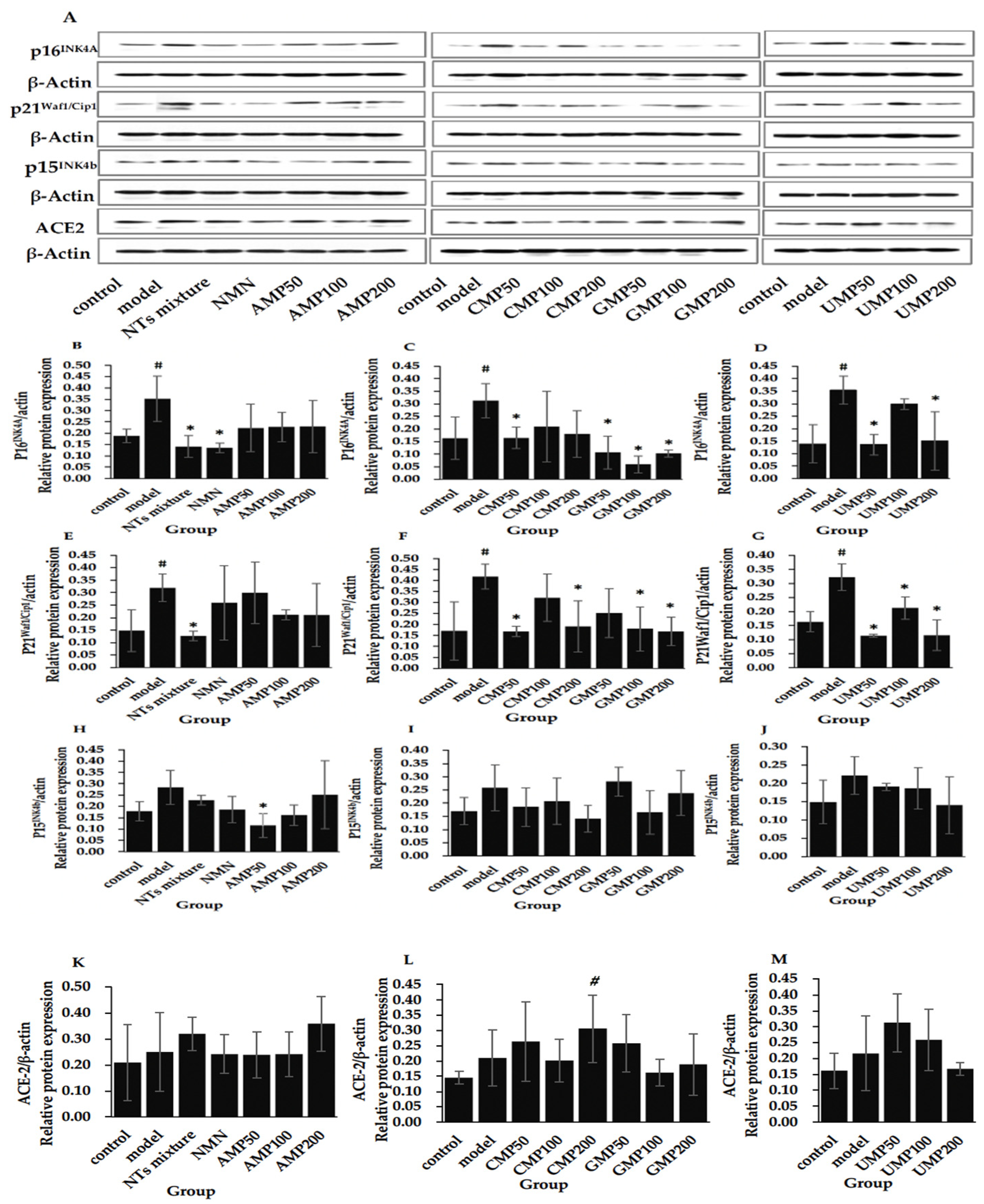 Nutrients 13 03279 g004